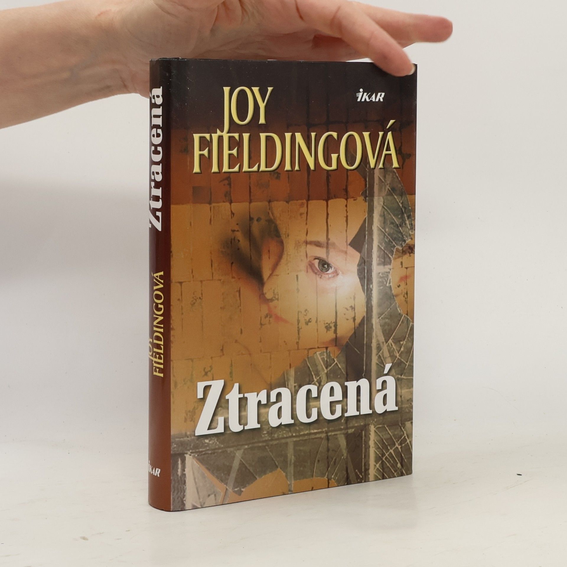 Joy Fielding Ztracená