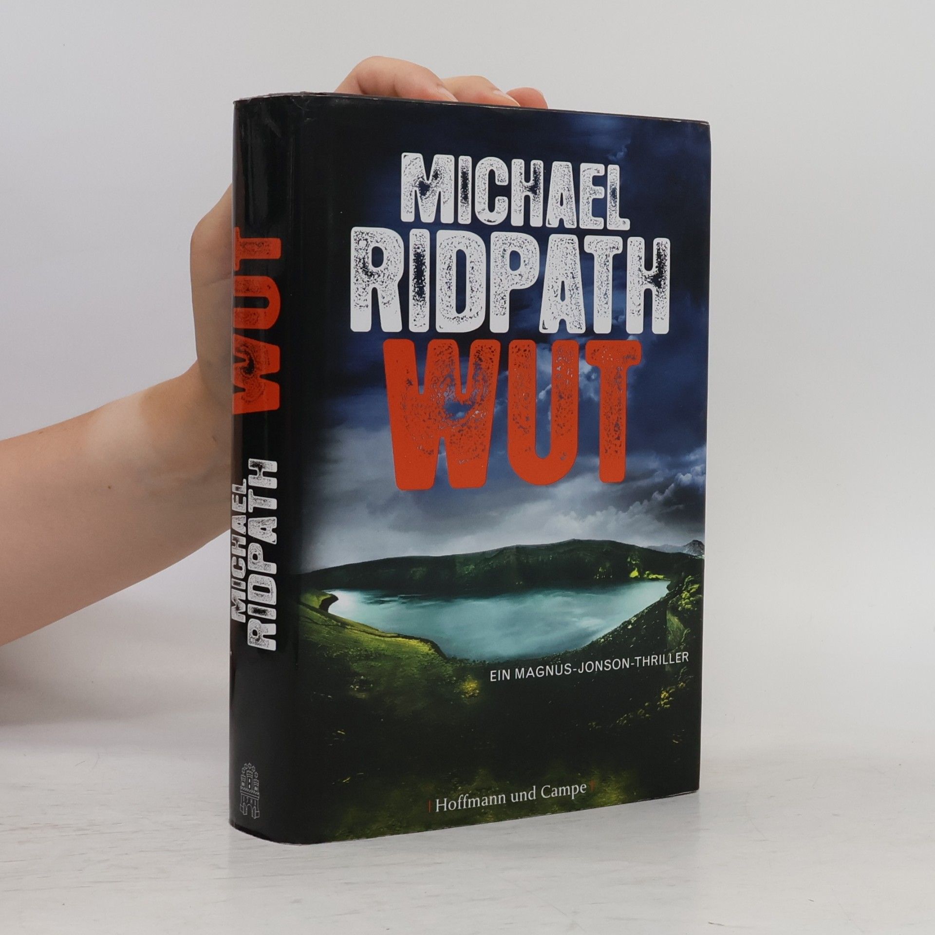 Michael Ridpath Wut