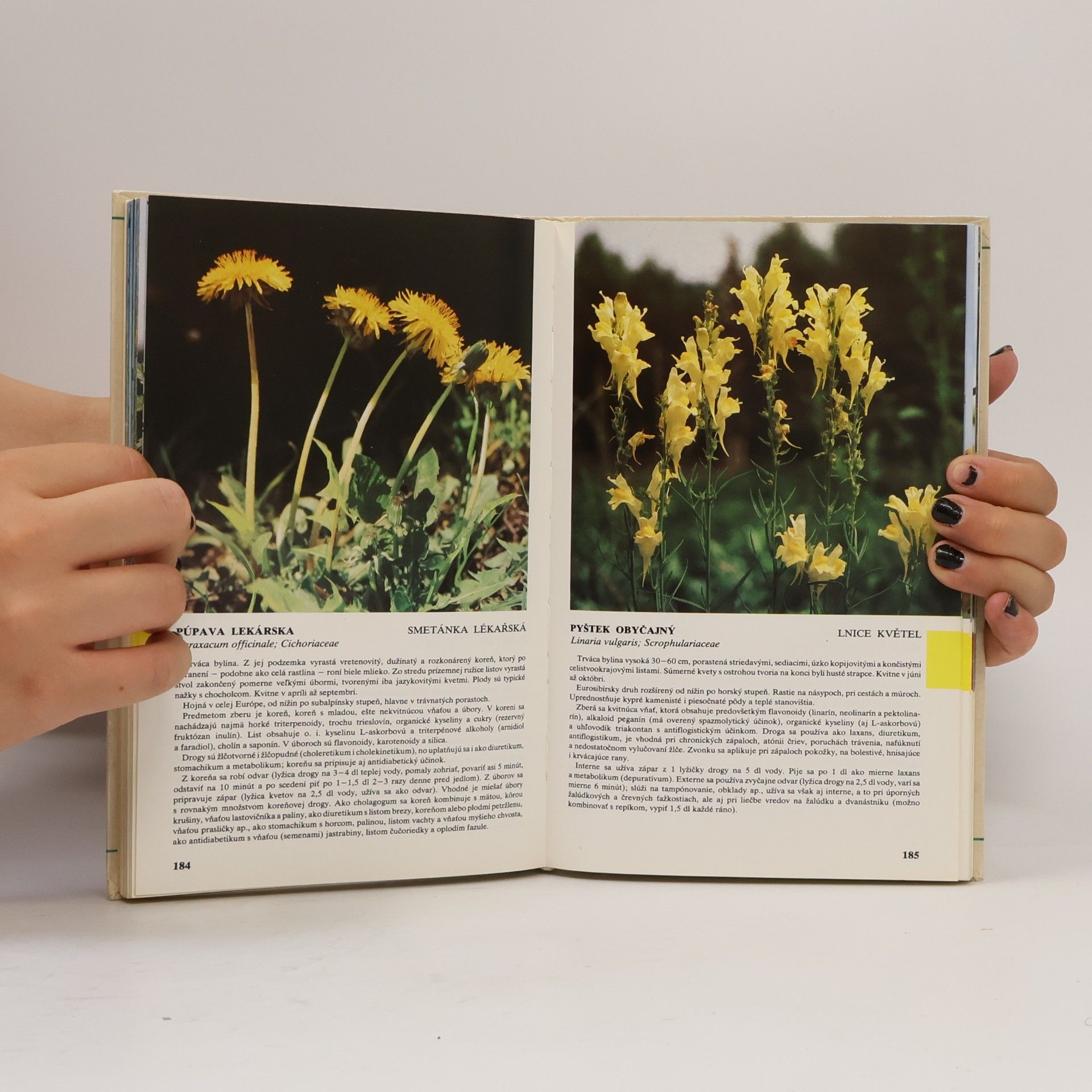 Jaroslav Kresánek Príručný atlas liečivých rastlín