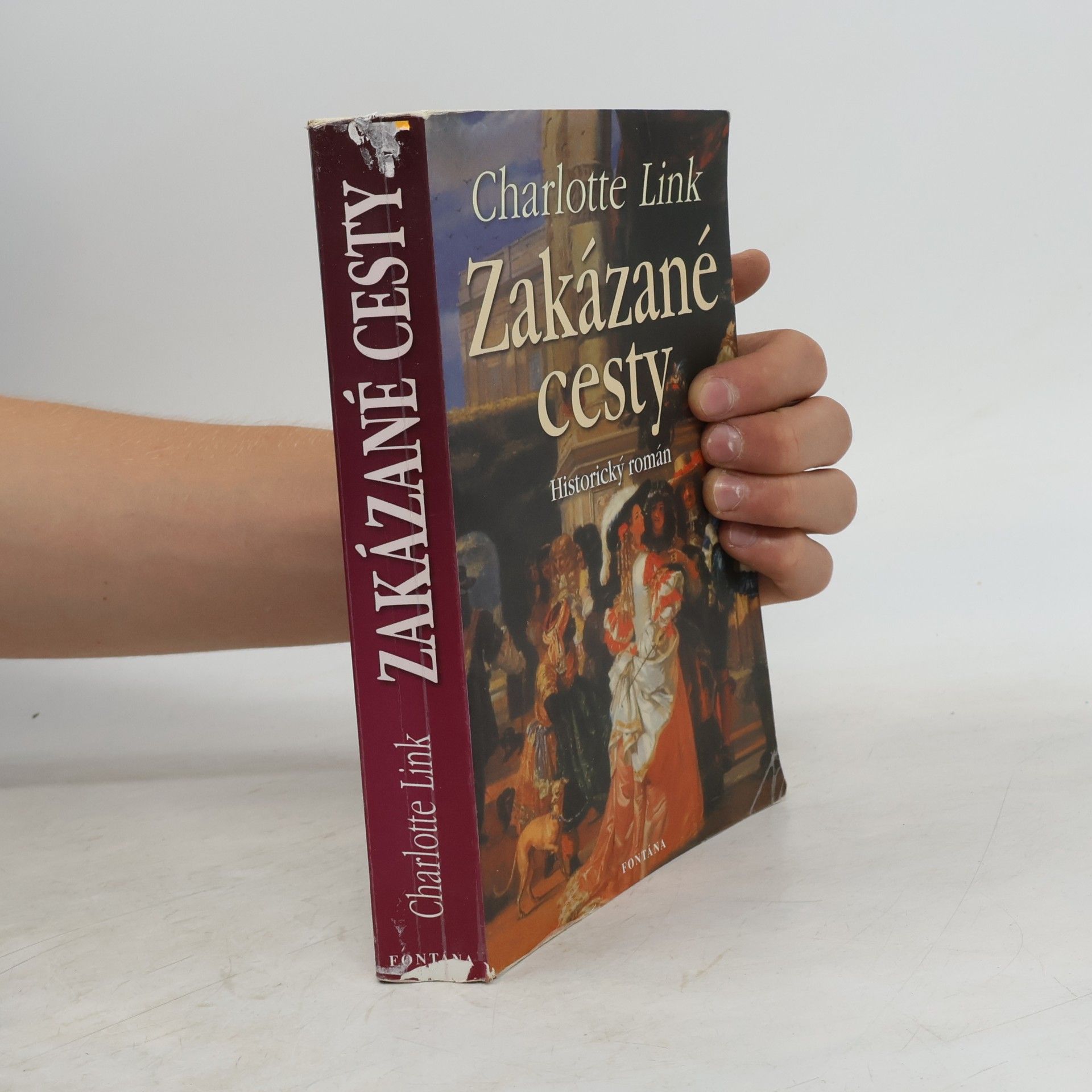 Charlotte Link Zakázané cesty