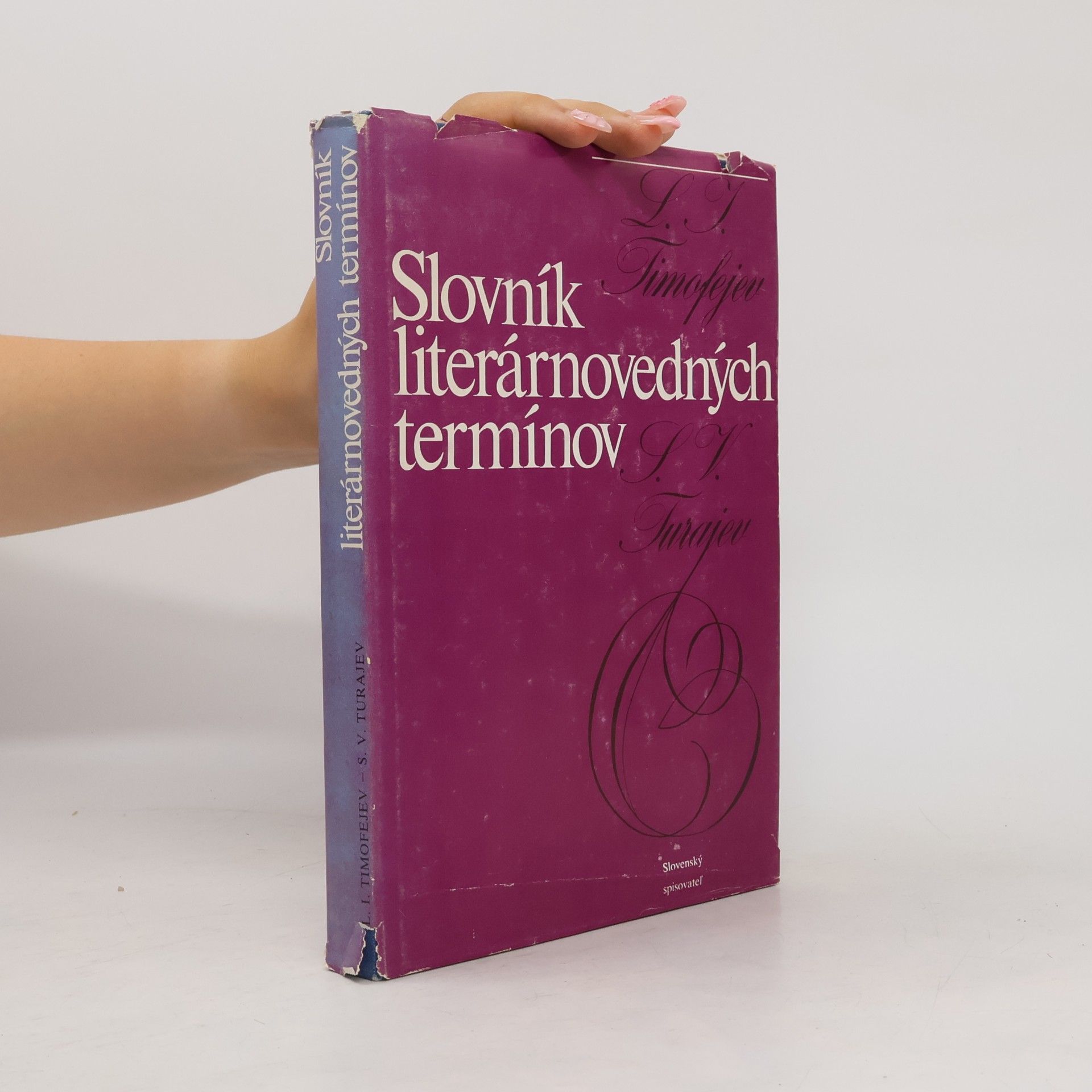 Autorenkollektiv Slovník literárnovedných termínov