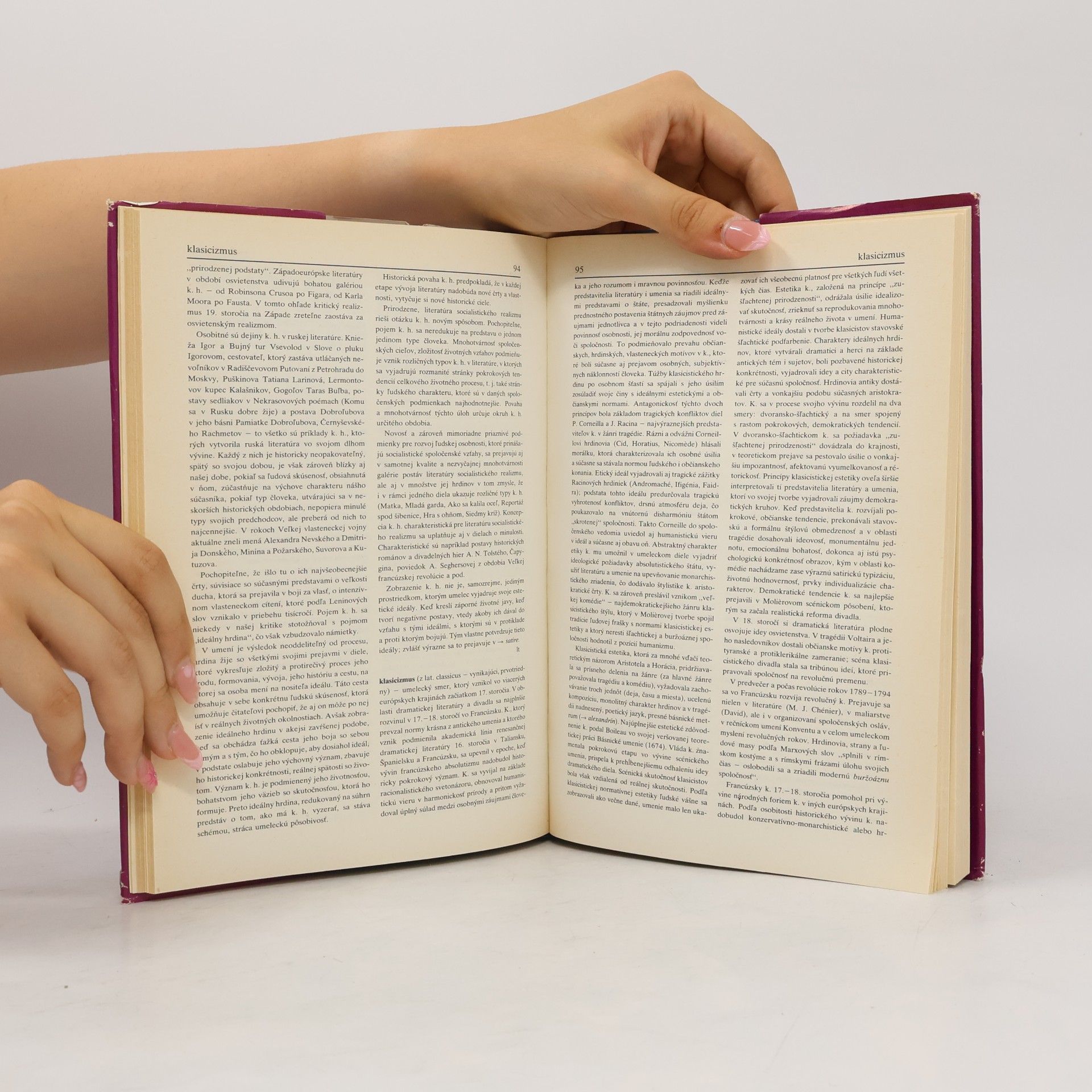 Autorenkollektiv Slovník literárnovedných termínov