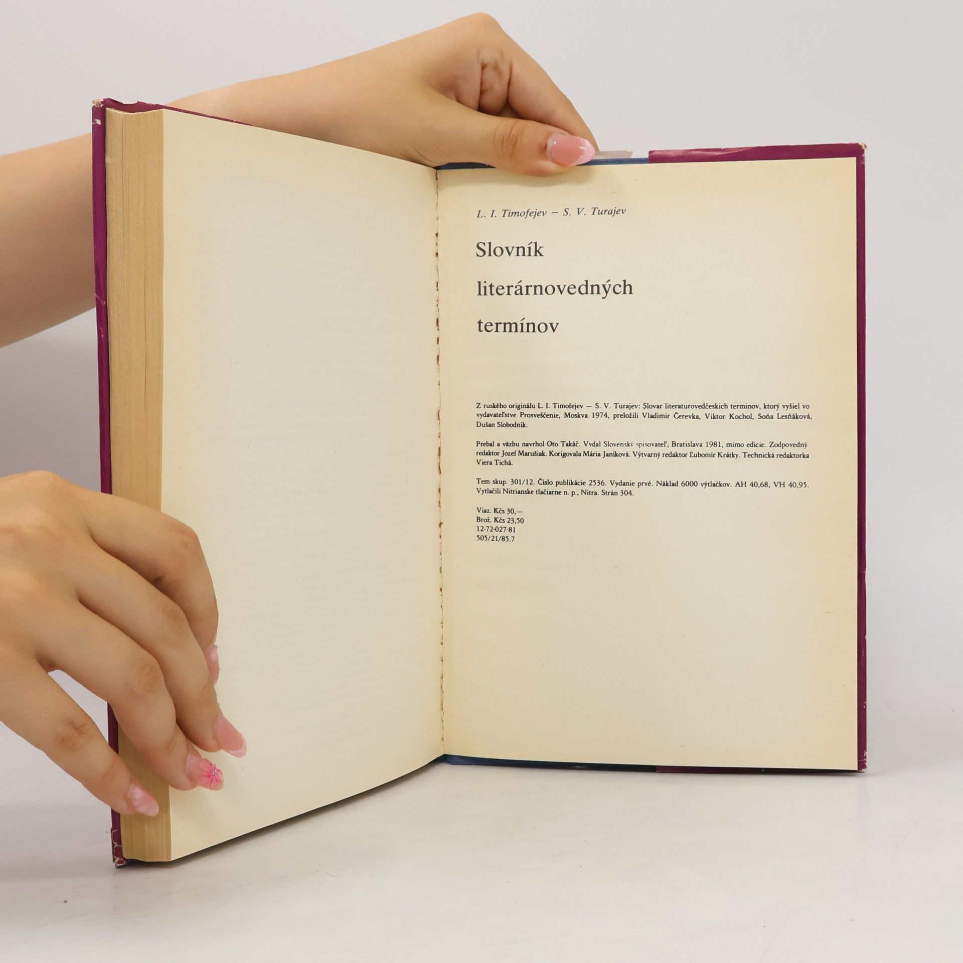 Autorenkollektiv Slovník literárnovedných termínov