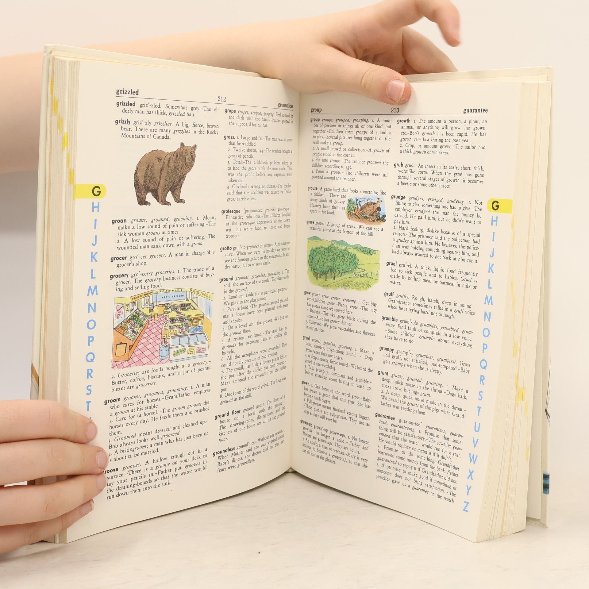 Stuart A. Courtis The Giant All-Colour Dictionary