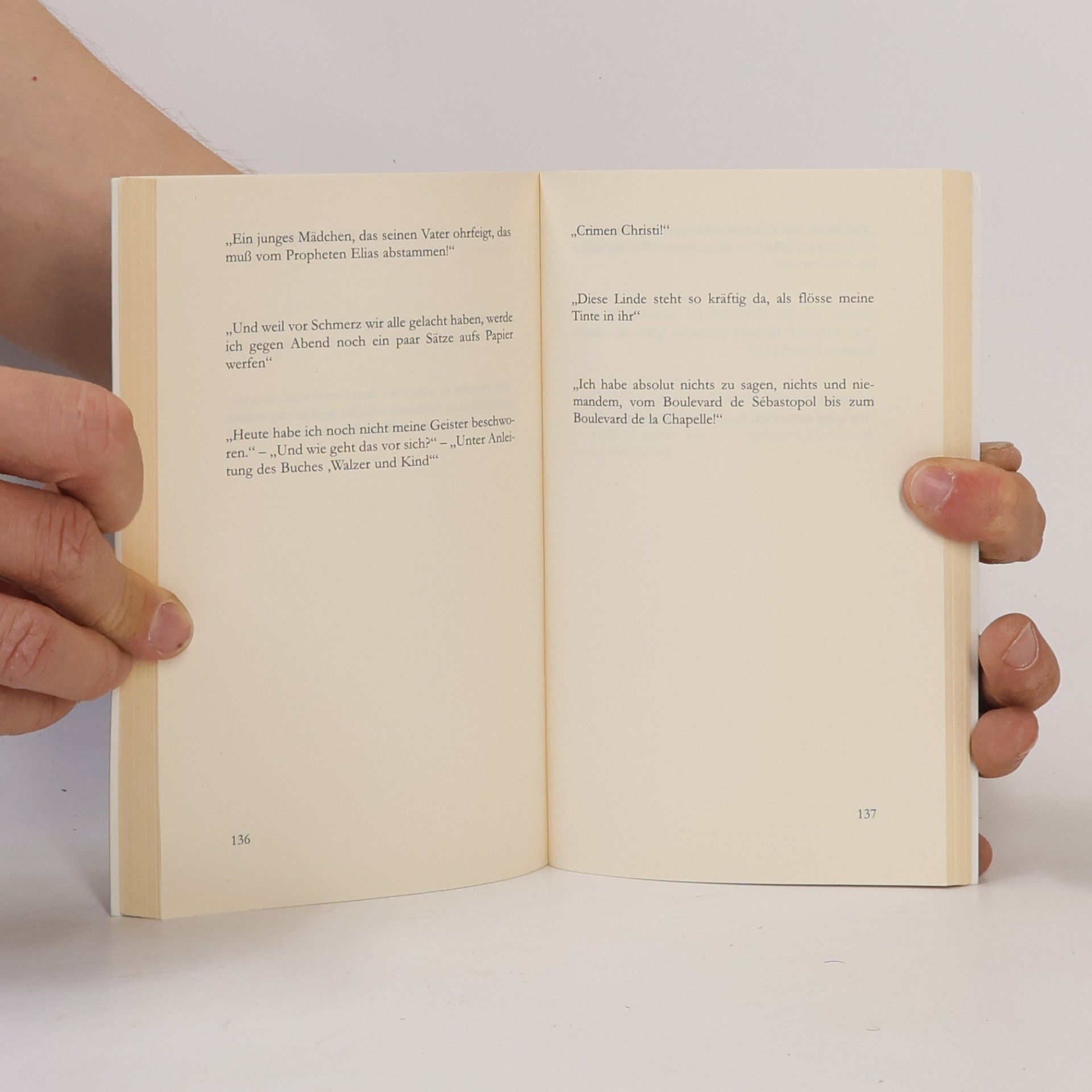 Peter Handke Ein Jahr aus der Nacht gesprochen