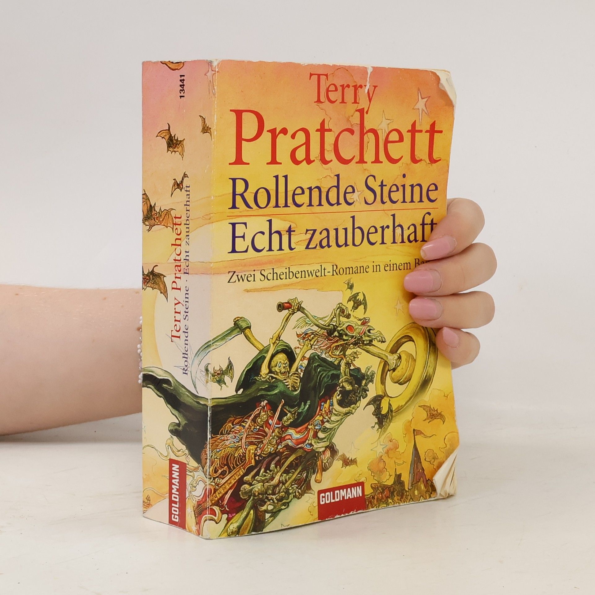 Terry Pratchett Rollende Steine