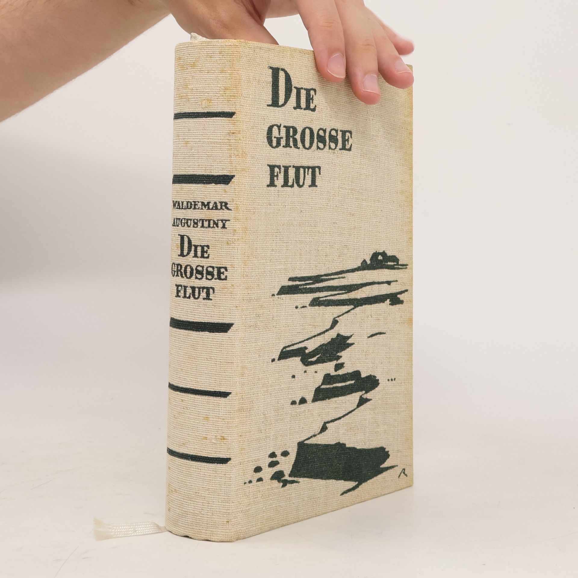 Waldemar Augustiny Die grosse Flut