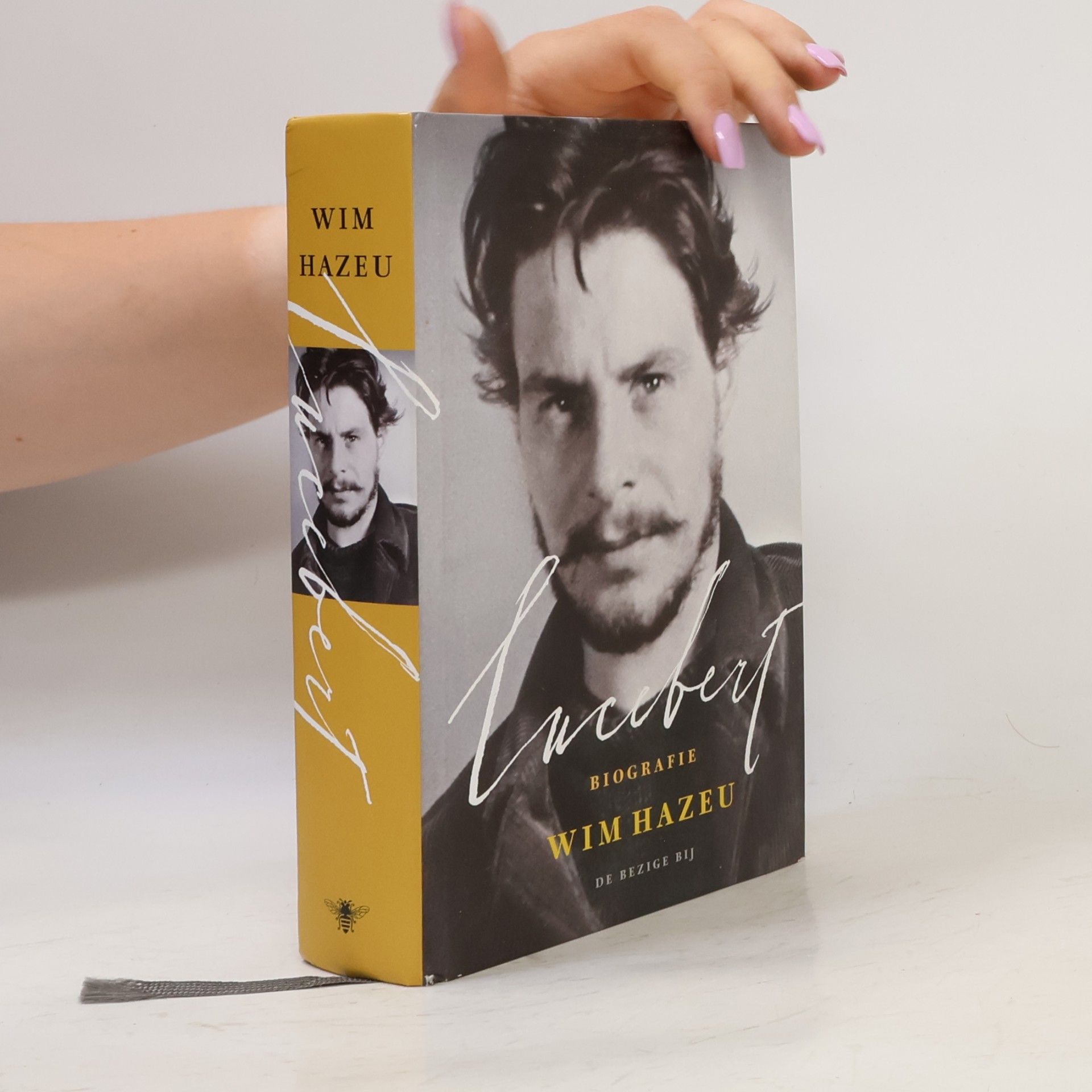 Willem Hazeu Lucebert. Een biografie