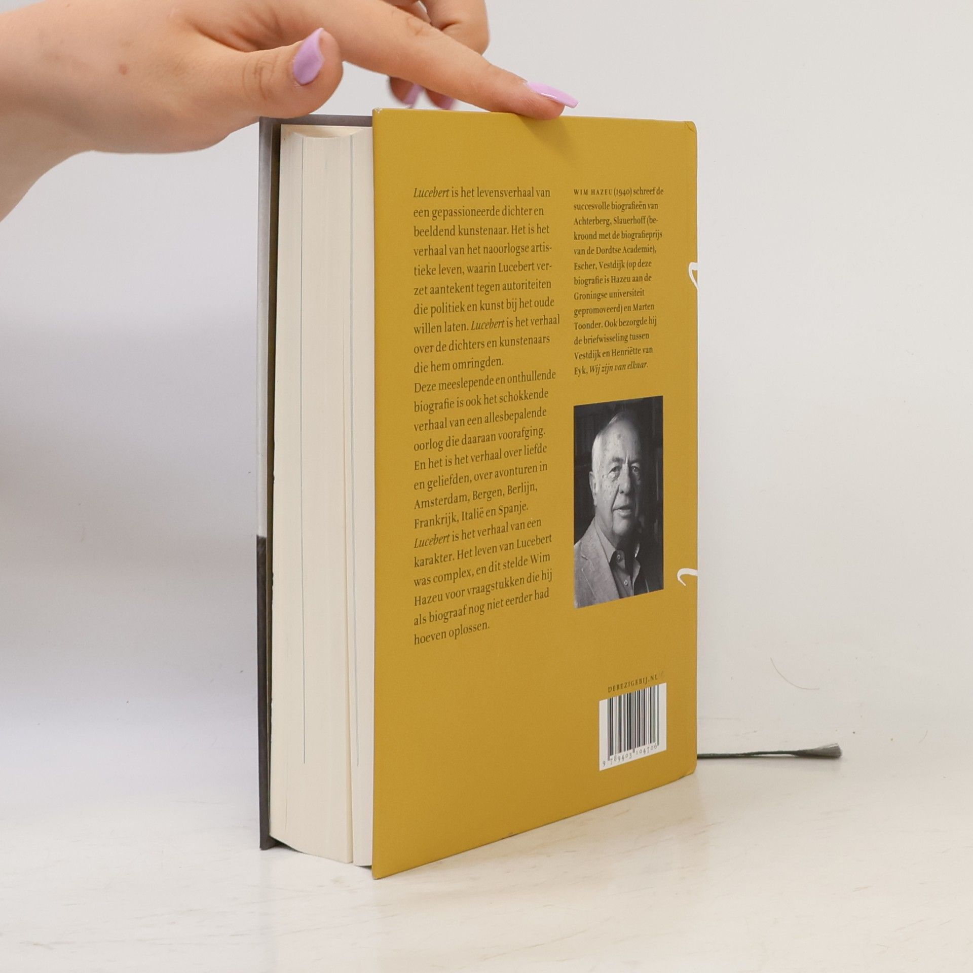 Willem Hazeu Lucebert. Een biografie