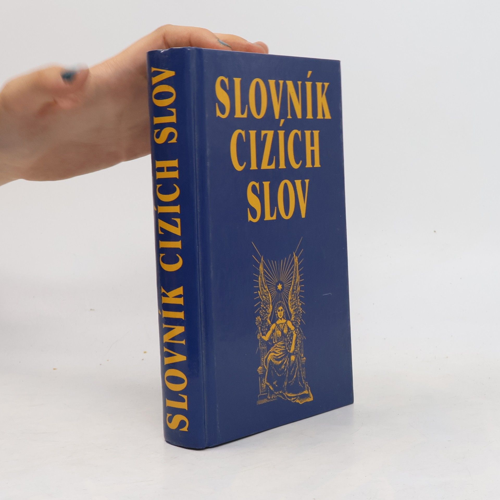 Kolektív autorov Slovník cizích slov