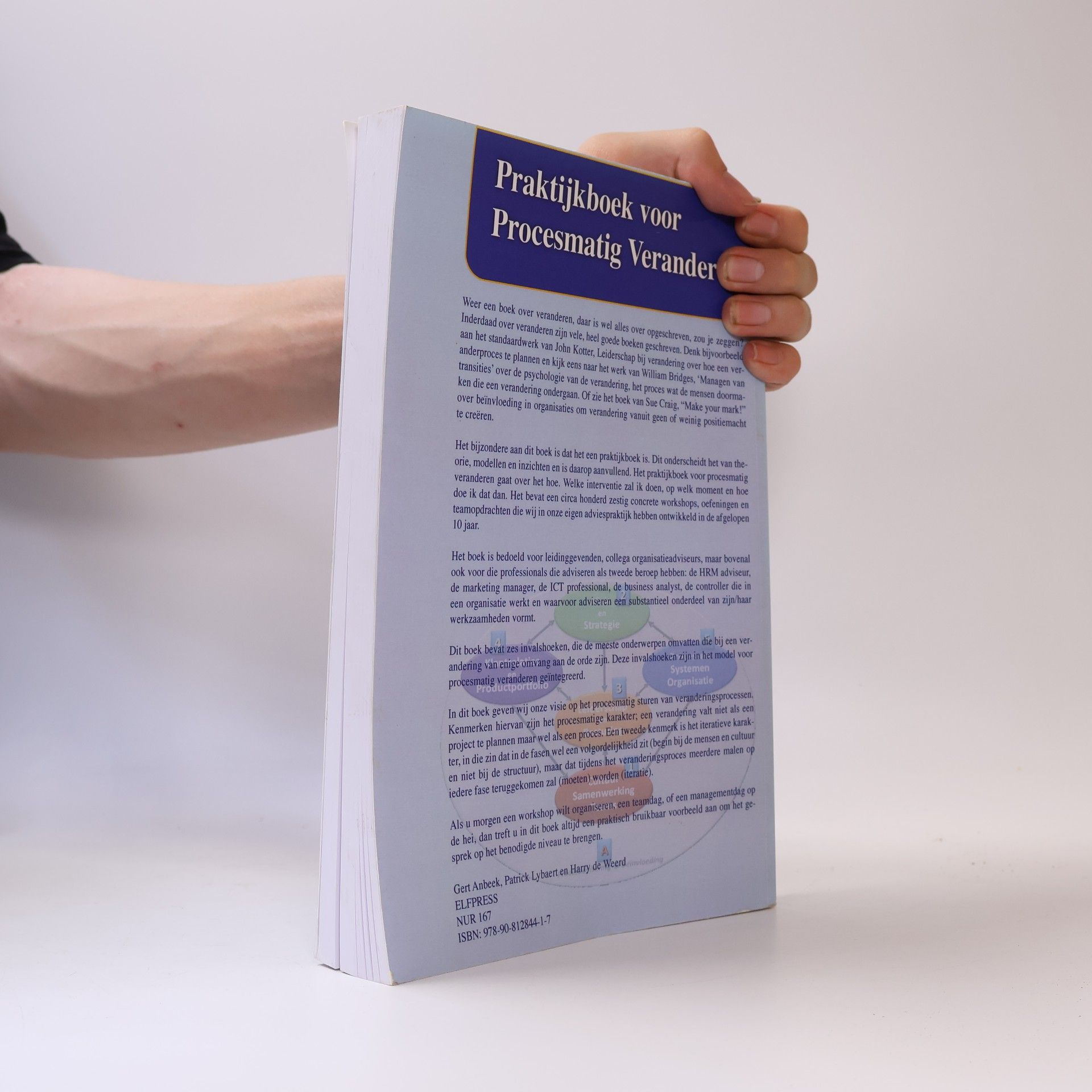 Gert Anbeek Praktijkboek voor procesmatig veranderen