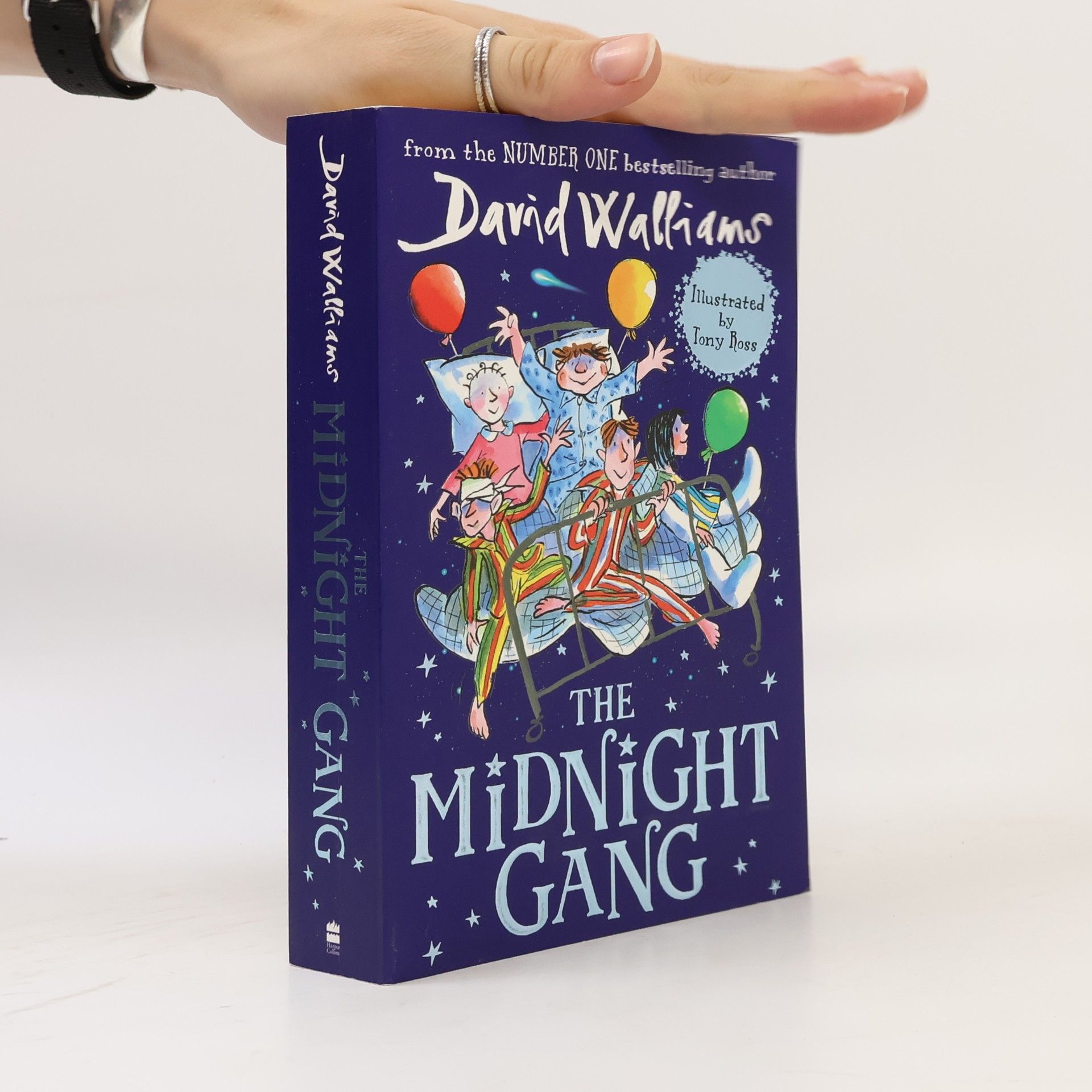 David Walliams The Midnight Gang