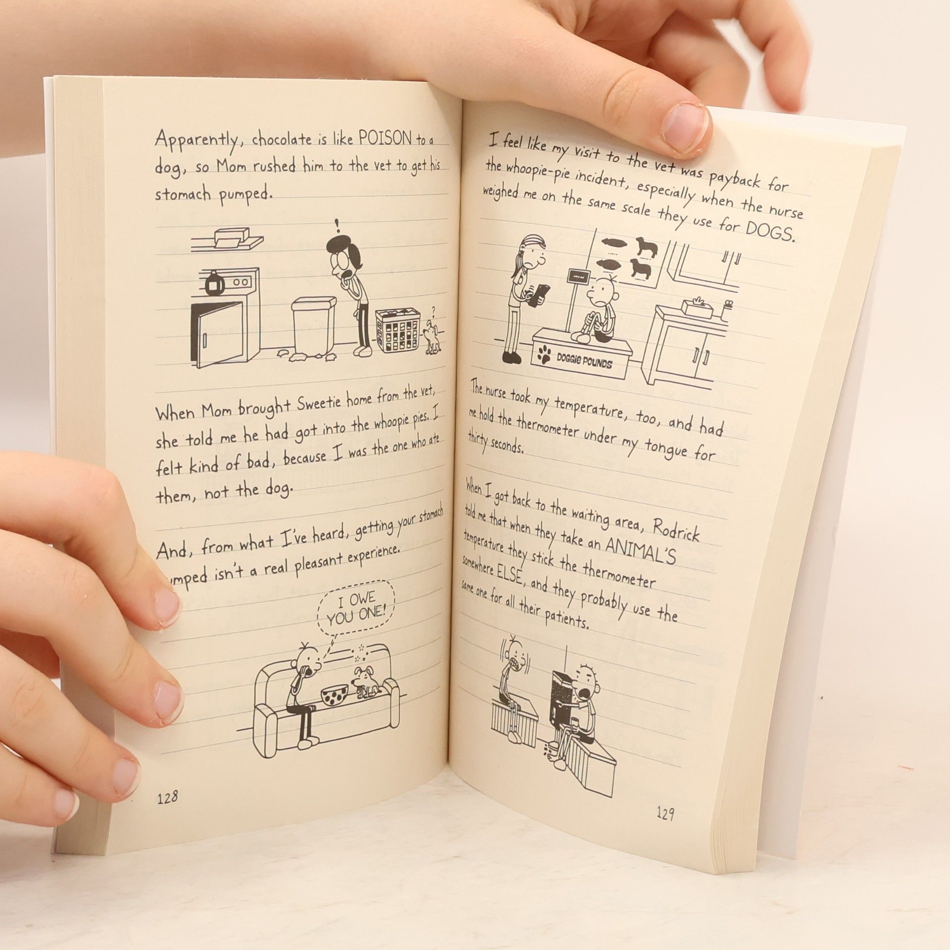 Jeff Kinney Diary of a wimpy kid. The long haul