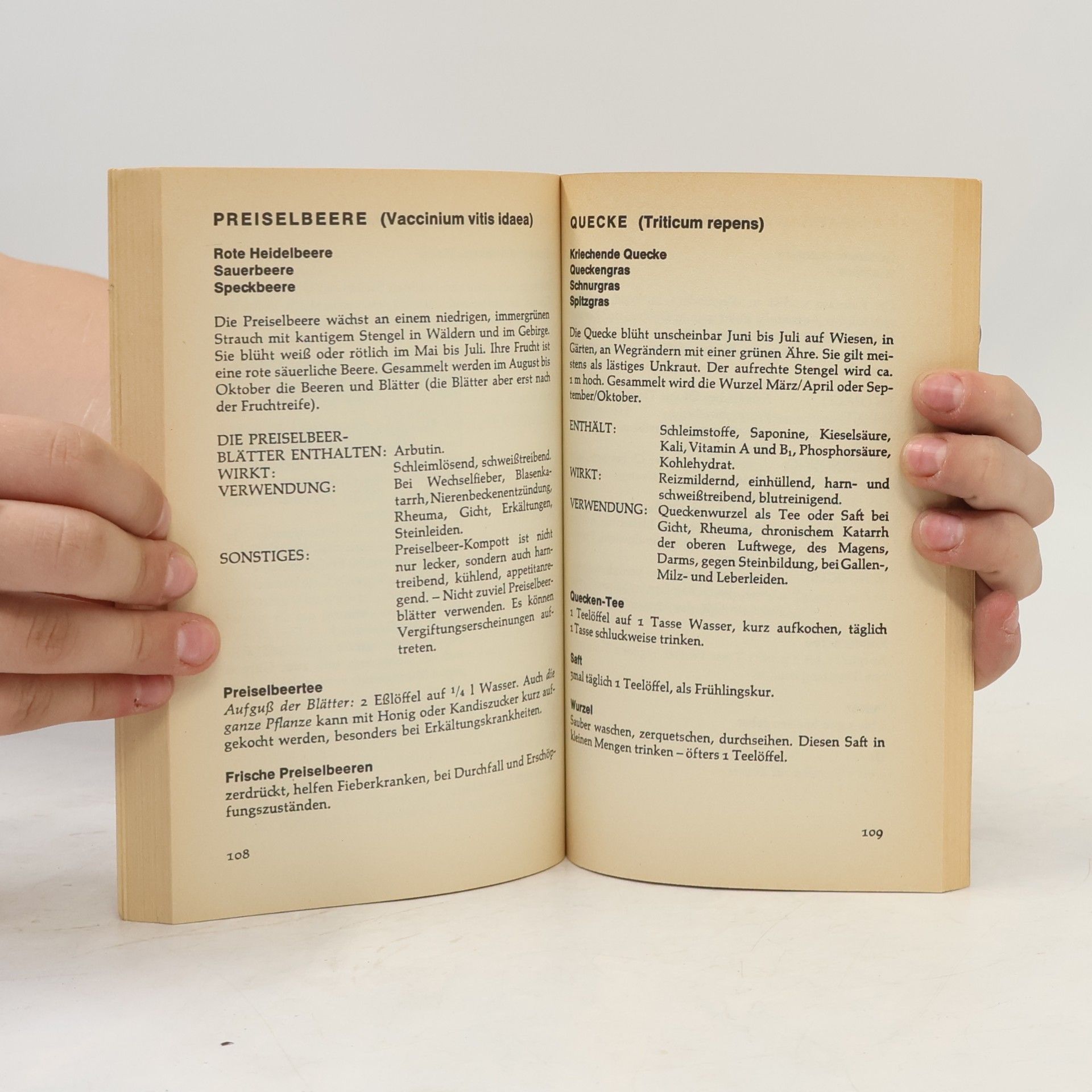 Eva Trauter Das Heyne-Kräuterbuch