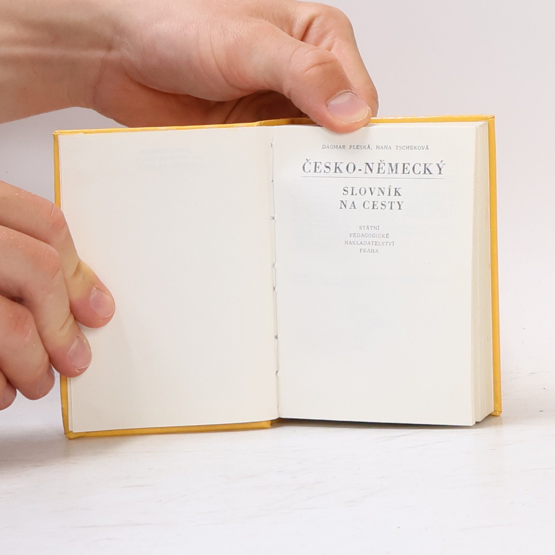 František Widimský Česko-německý a německo-český slovník na cesty