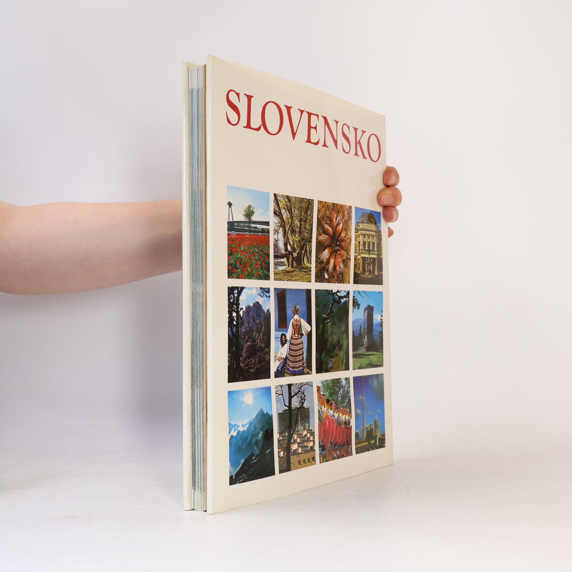 Autorenkollektiv Slovensko
