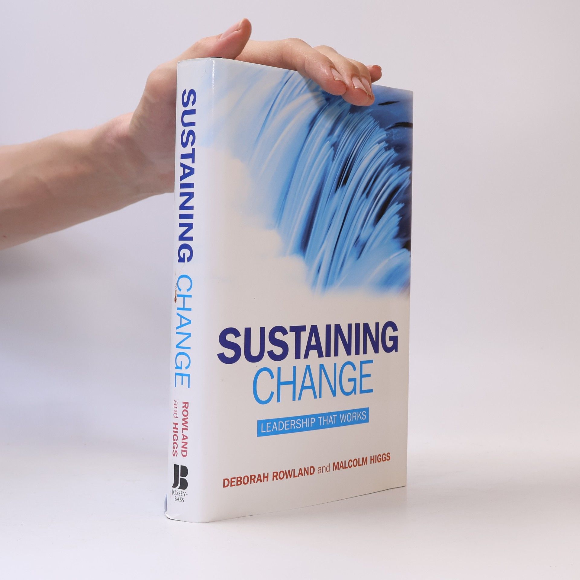 Malcolm Higgs Sustaining change : leadership that works