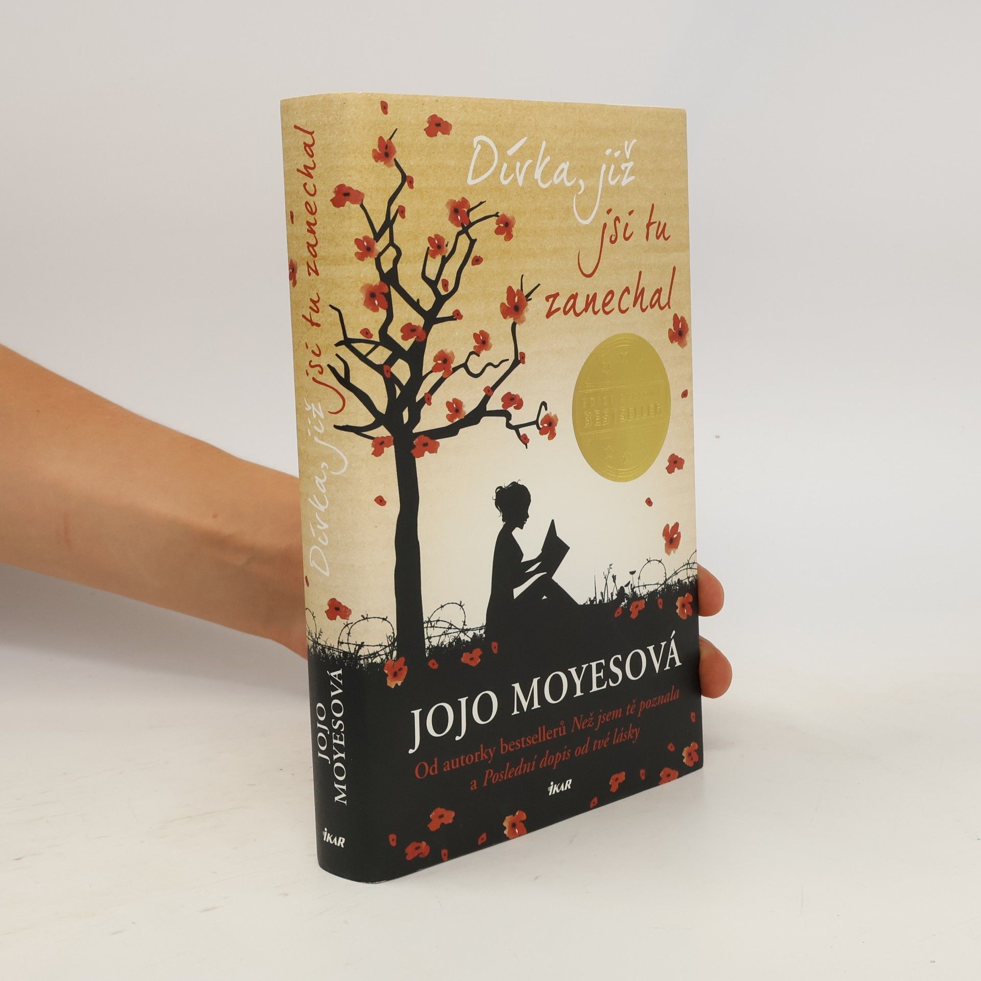Jojo Moyes Dívka, již jsi tu zanechal