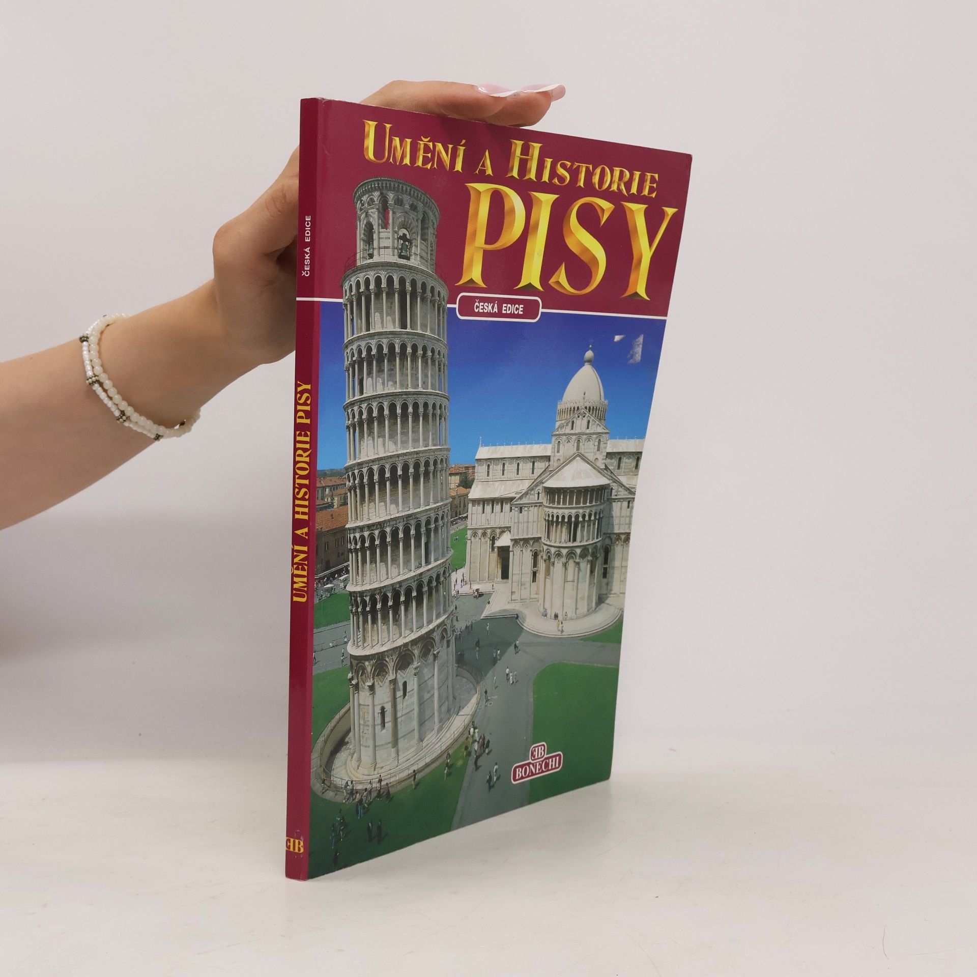 Andrea Pistolesi Umění a historie Pisy