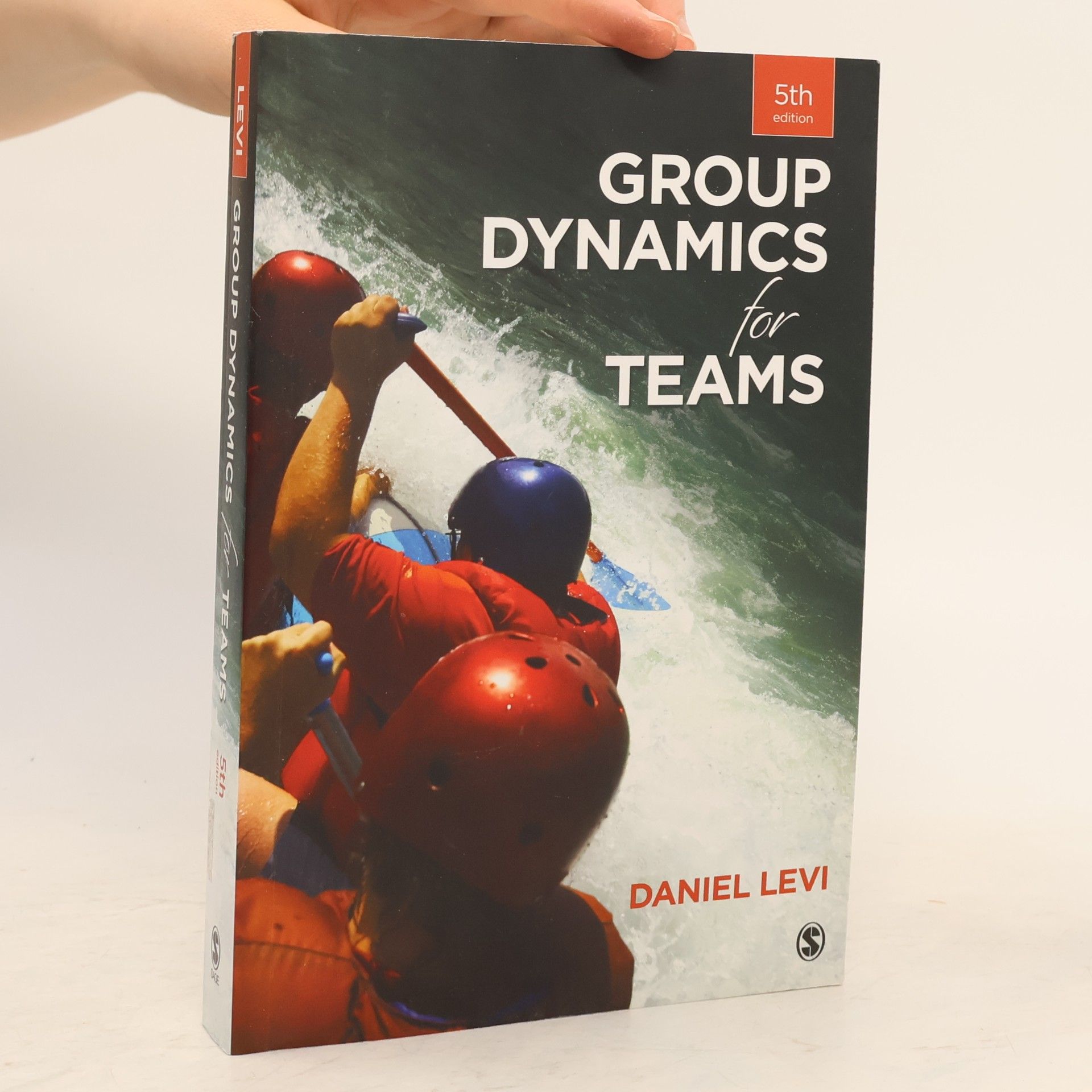 Daniel Levi Group Dynamics for Teams