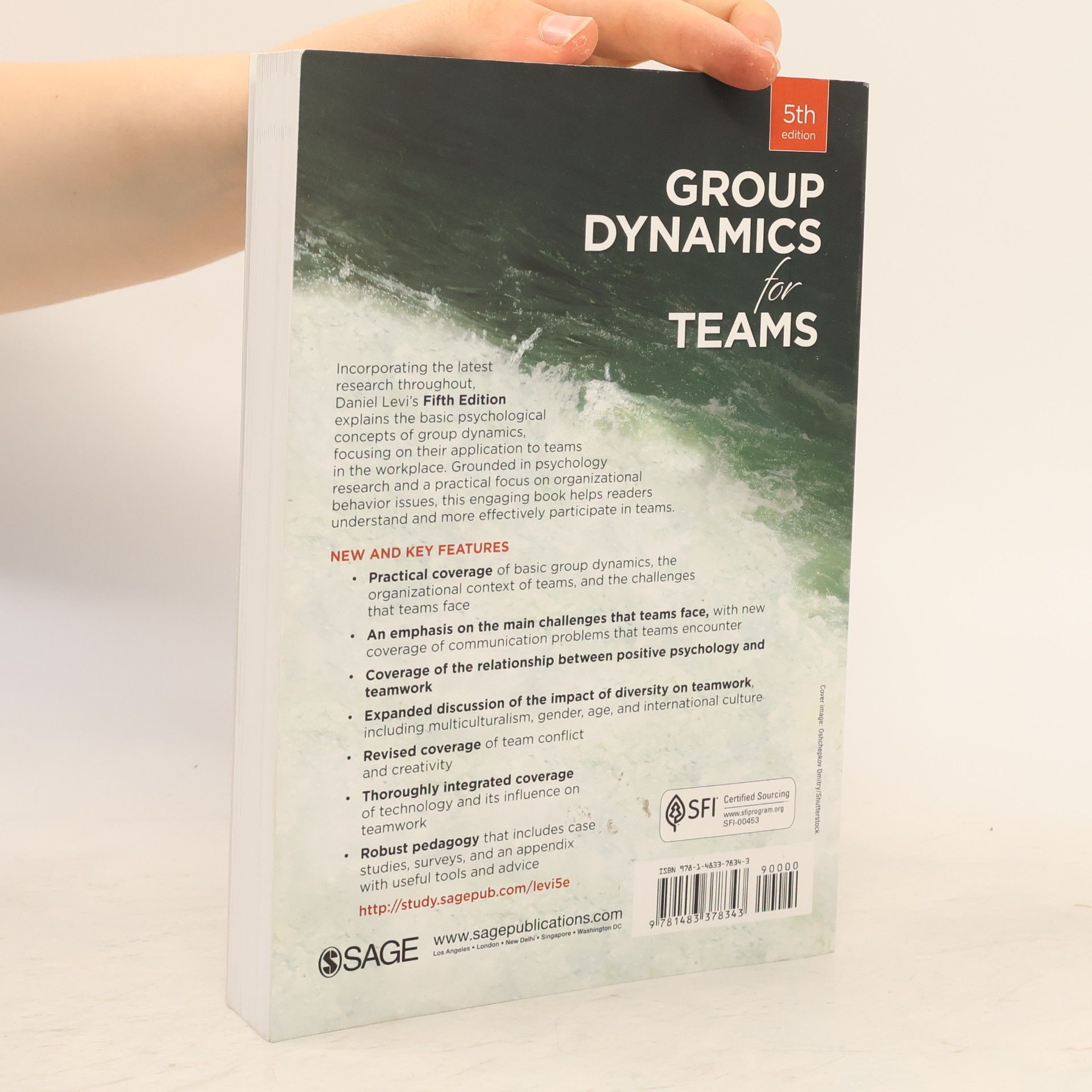 Daniel Levi Group Dynamics for Teams