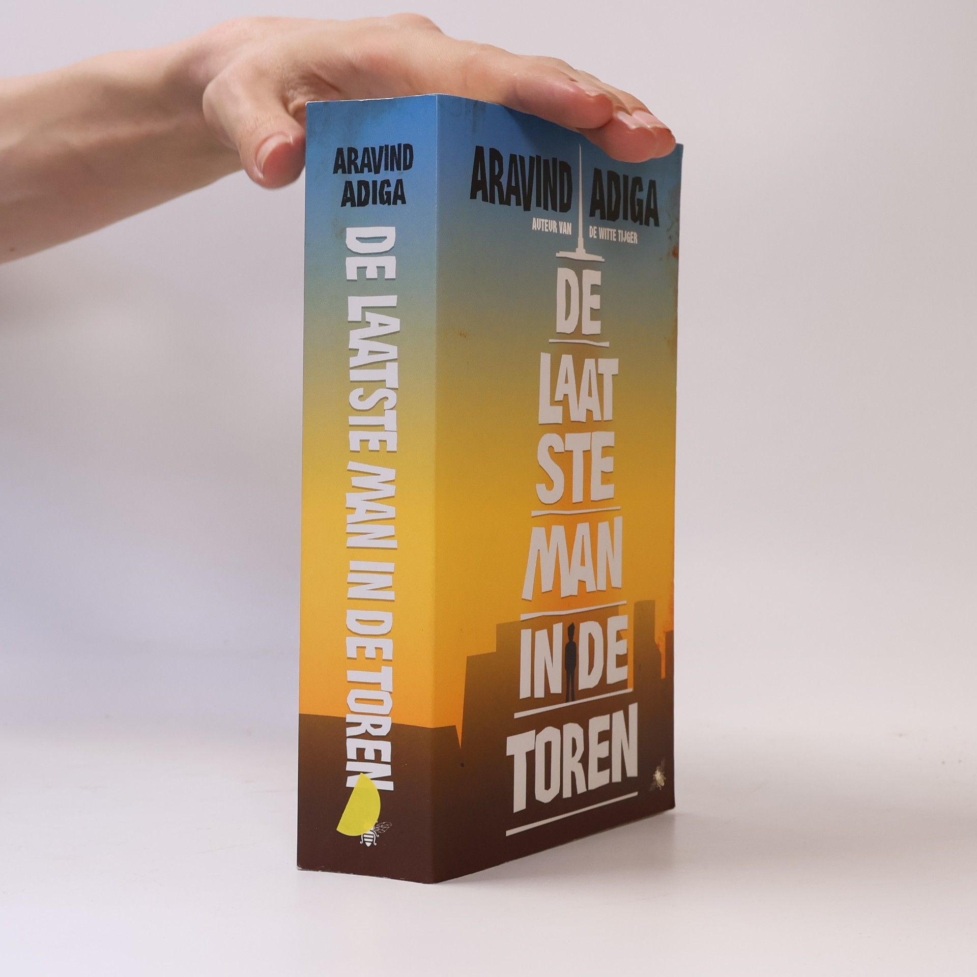Aravind Adiga De laatste man in de toren