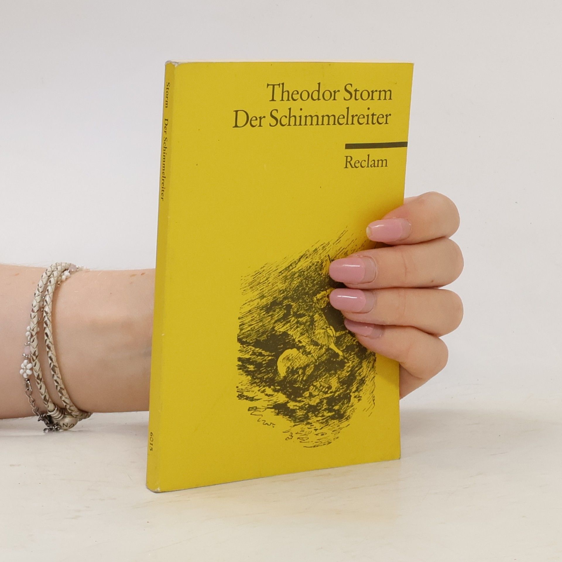 Theodor Storm Der Schimmelreiter