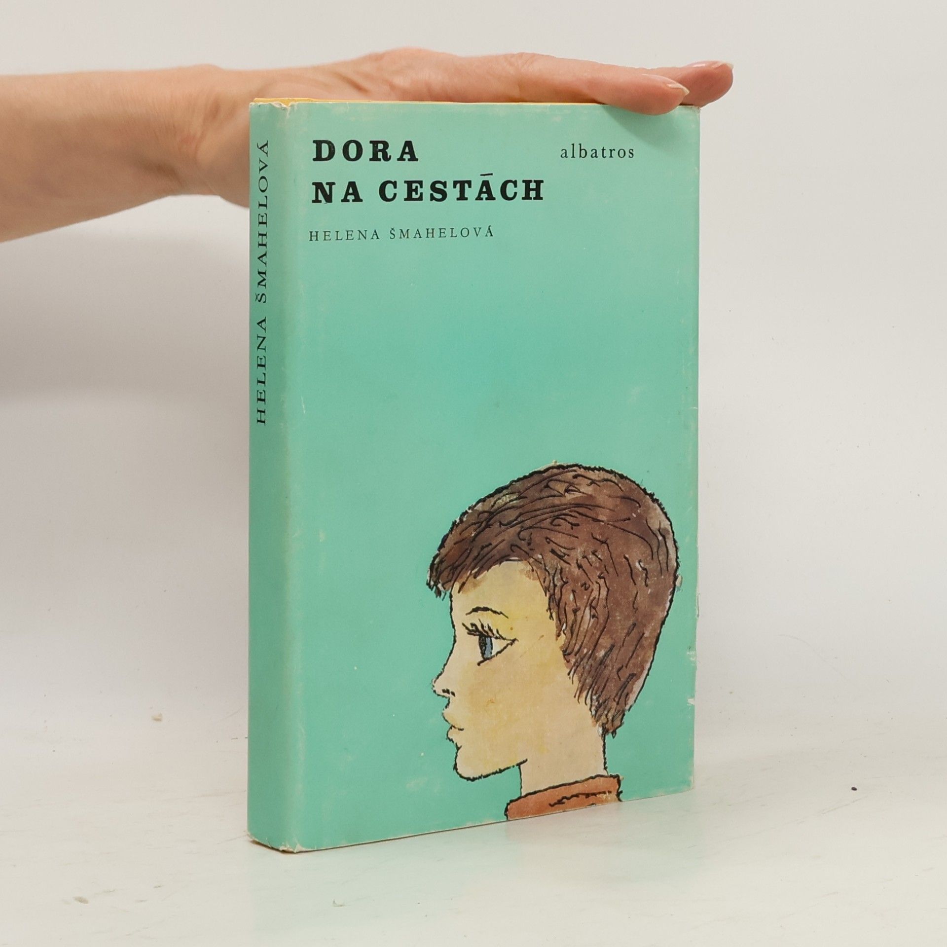 Dora na cestách