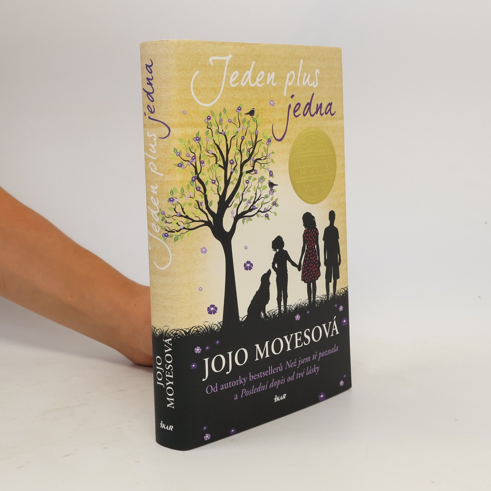Jojo Moyes Jeden plus jedna