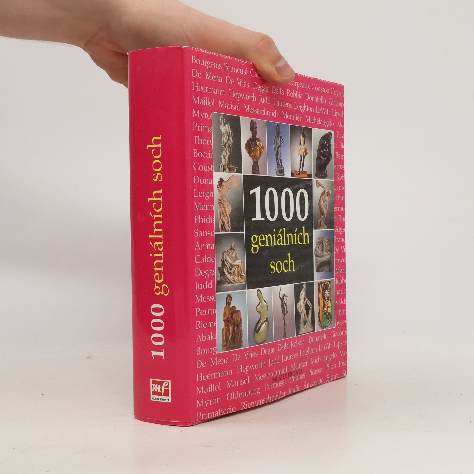 Sarah Costello 1000 geniálních soch