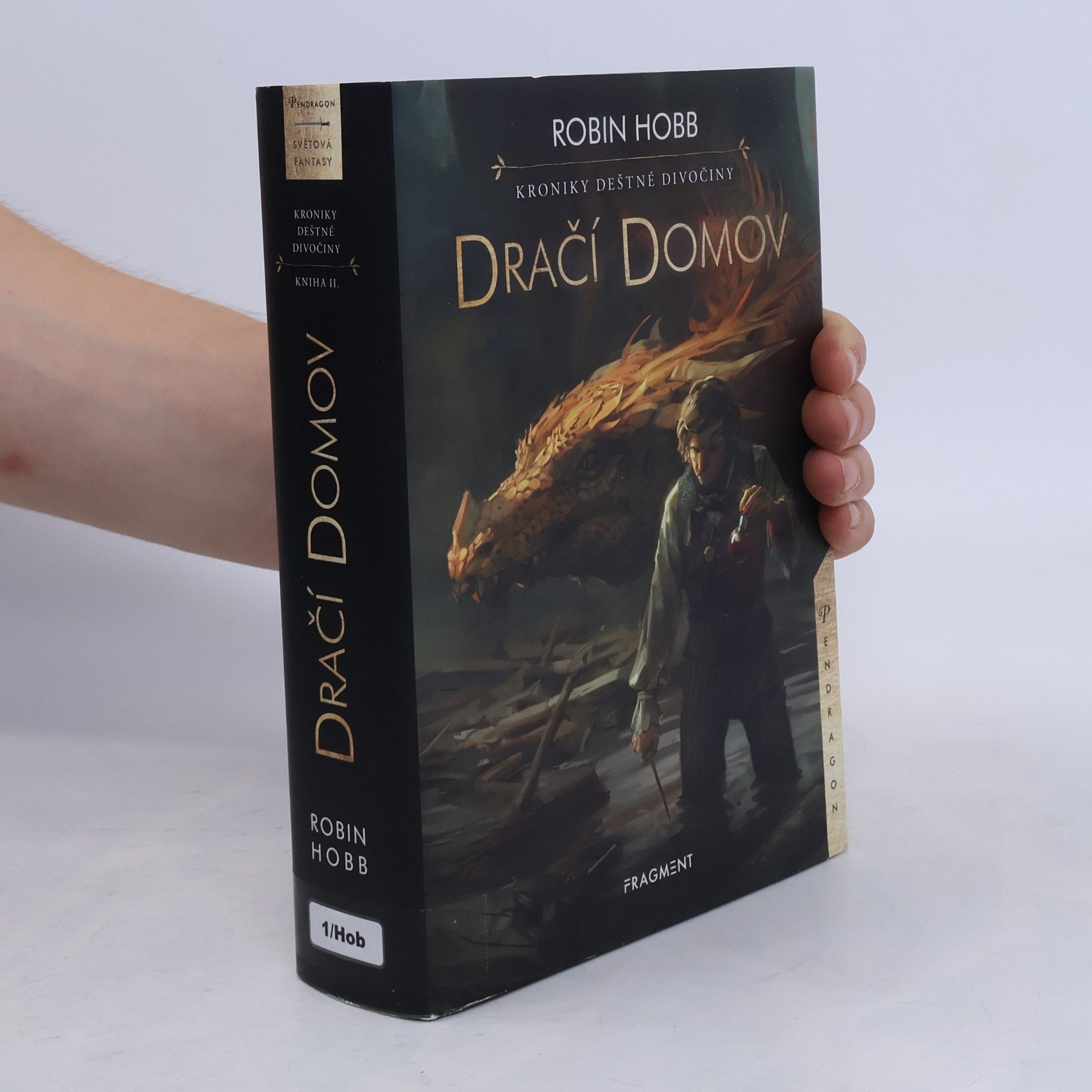 Robin Hobb Dračí domov