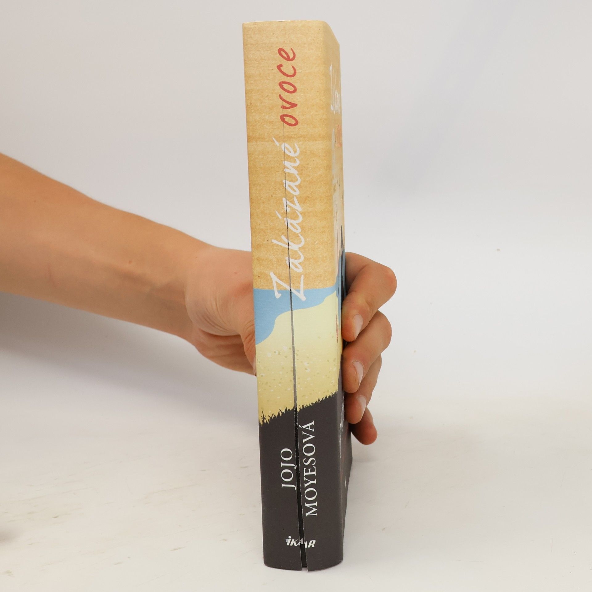 Jojo Moyes Zakázané ovoce