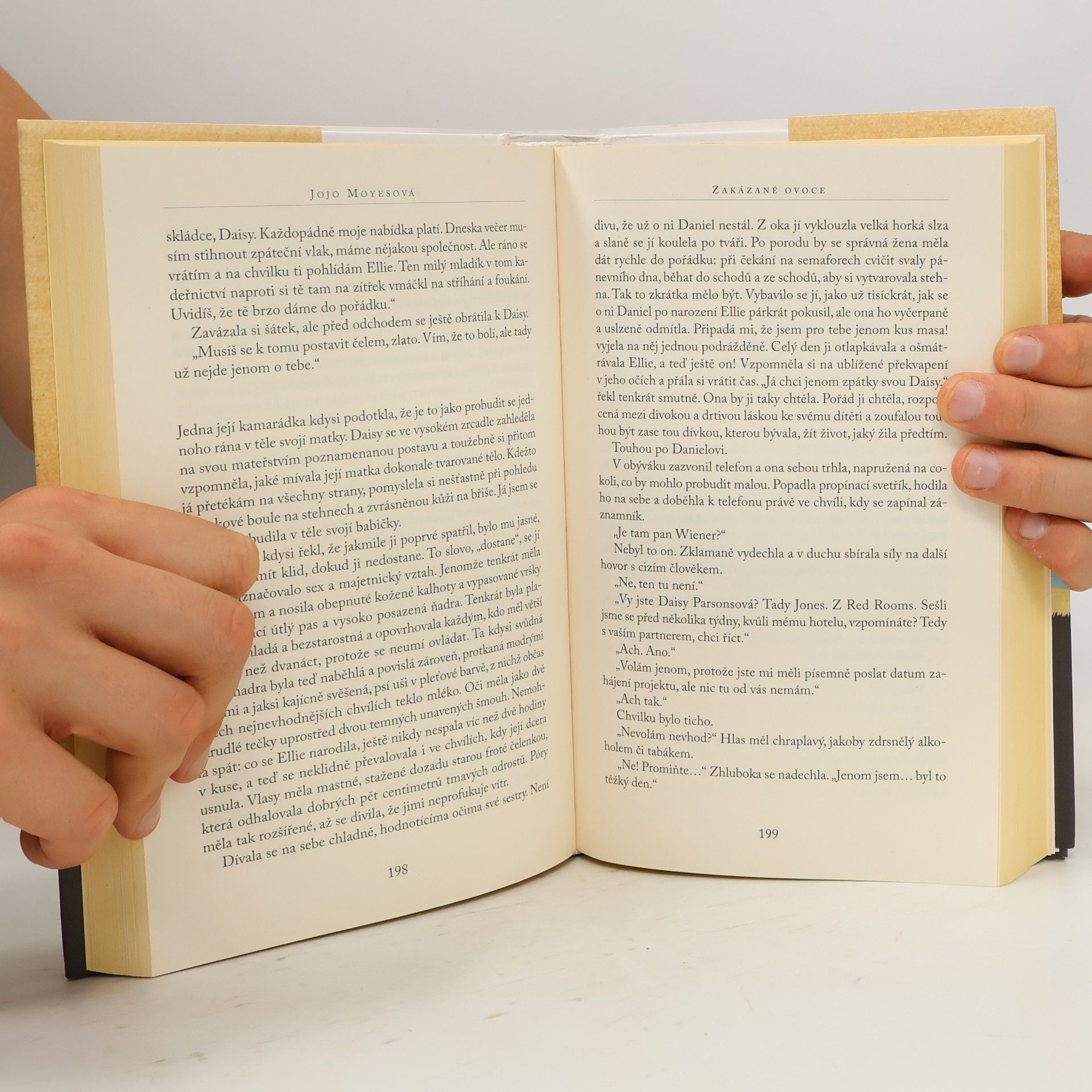 Jojo Moyes Zakázané ovoce