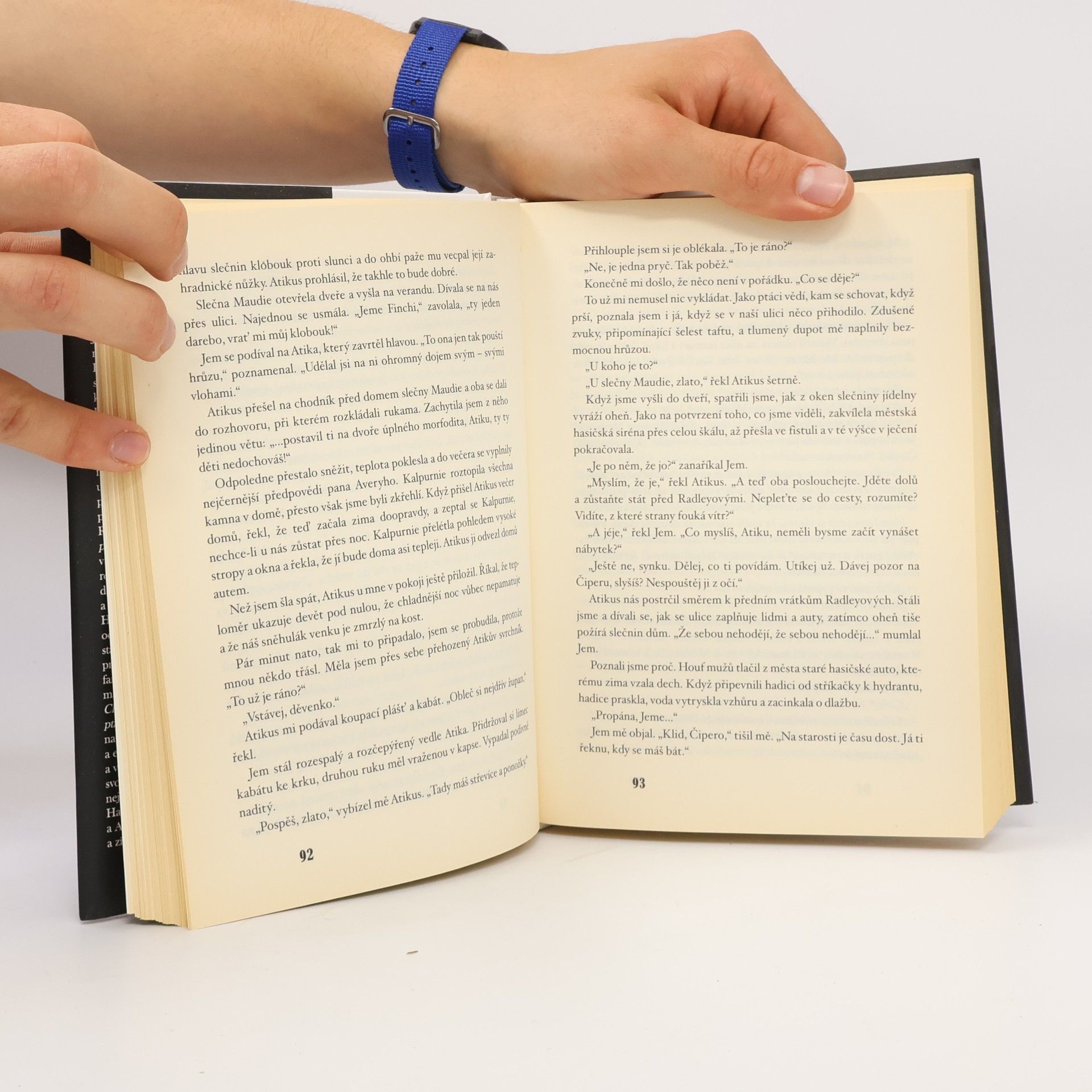 Harper Lee Jako zabít ptáčka