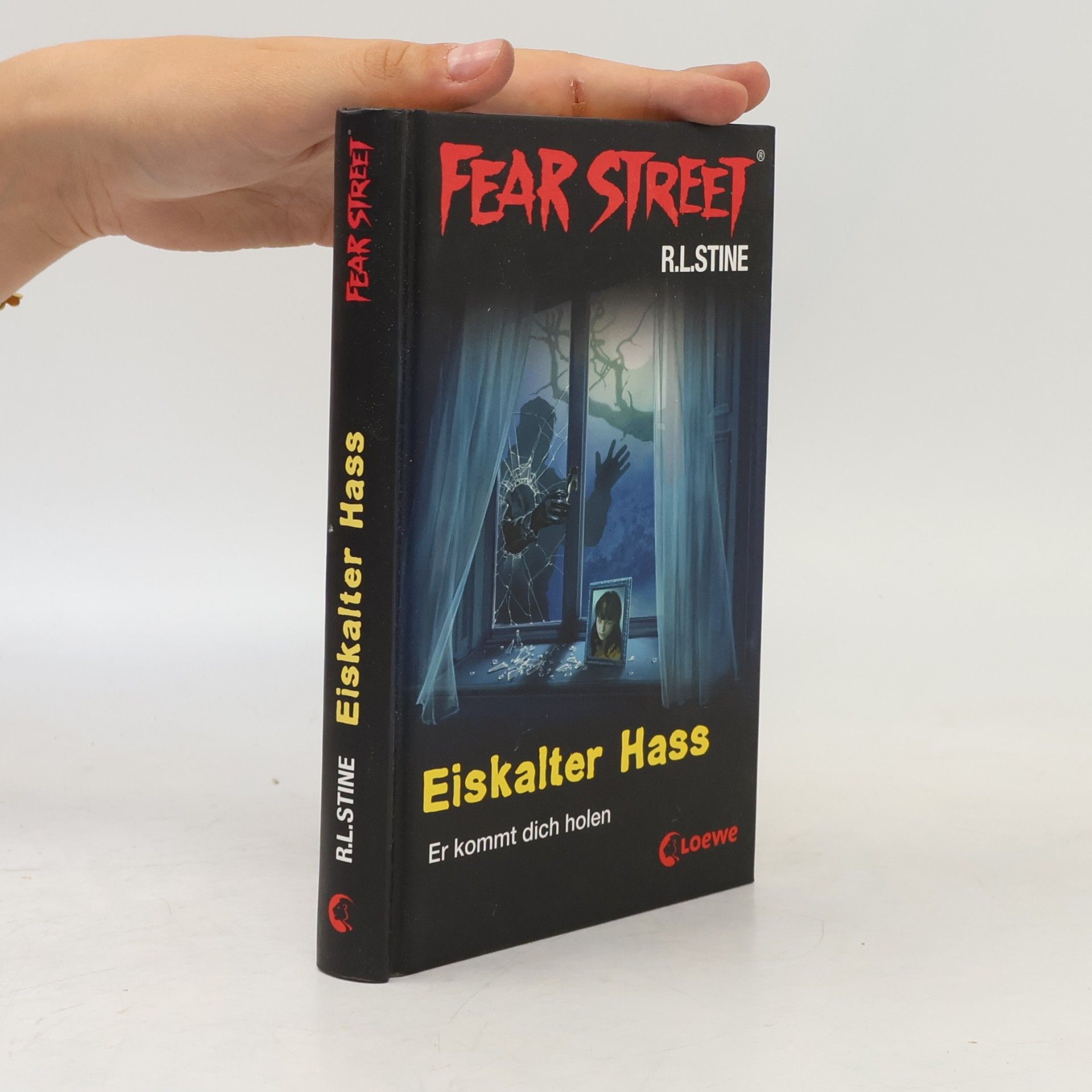 R. L. Stine Eiskalter Hass