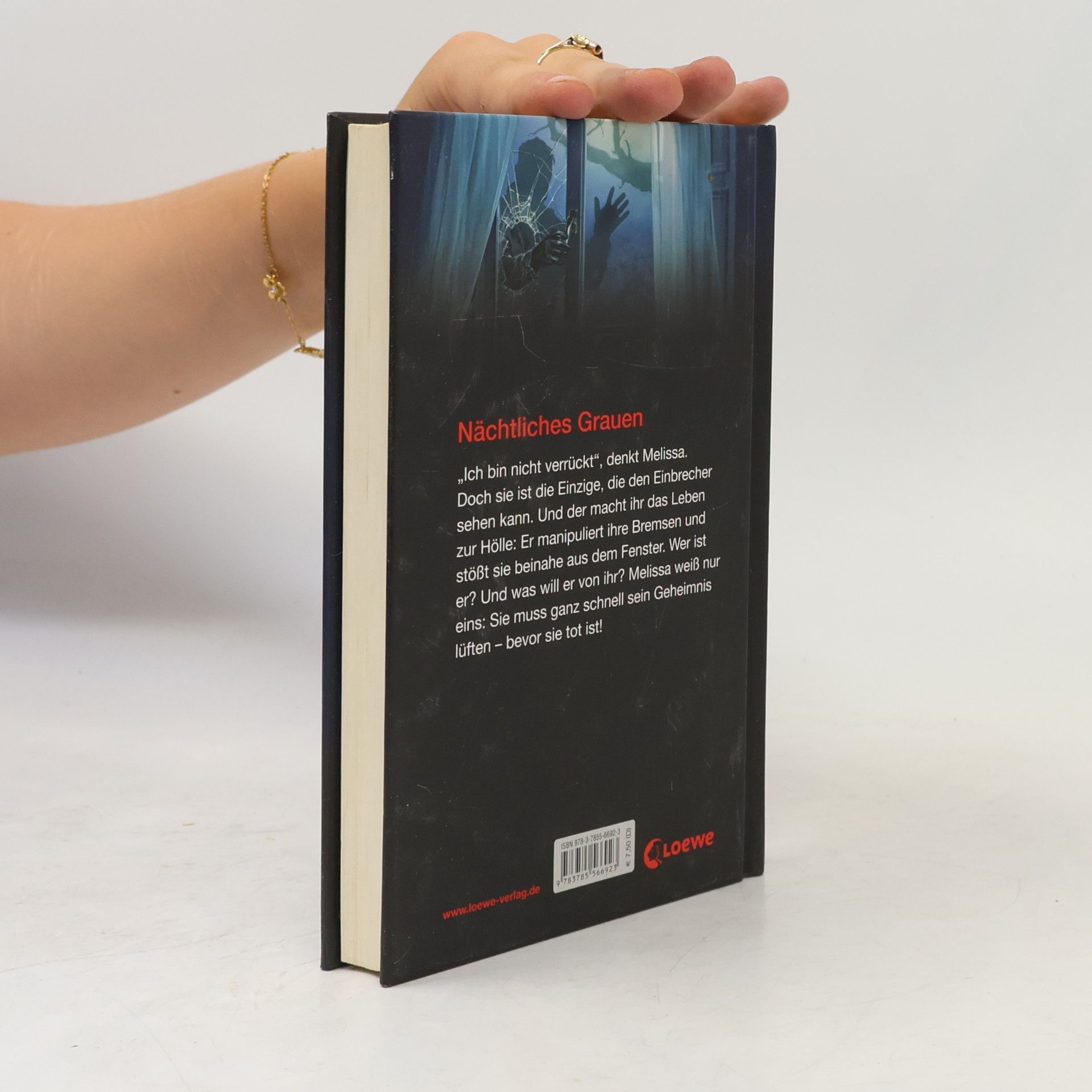 R. L. Stine Eiskalter Hass