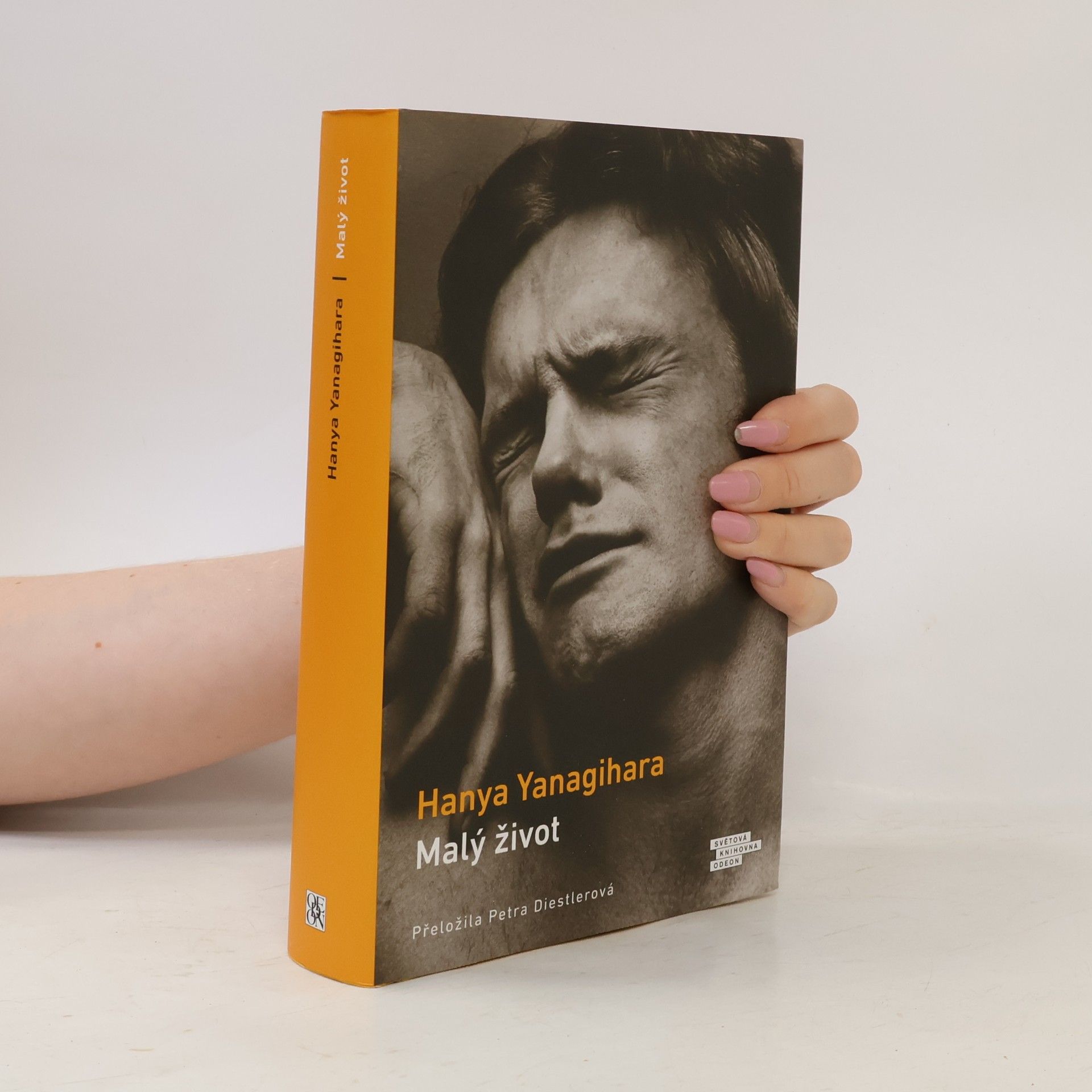 Hanya Yanagihara Malý život