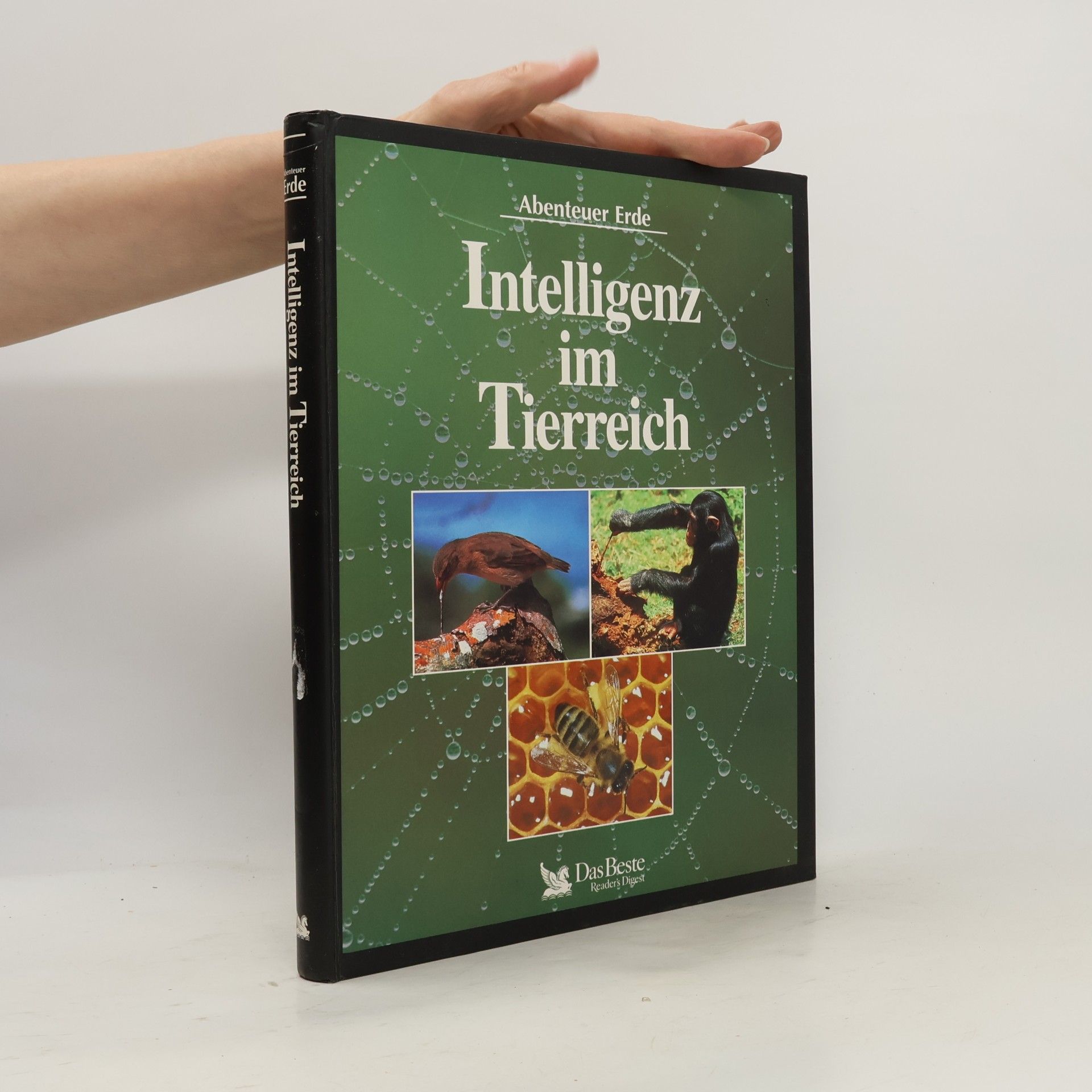 Kolektiv autorů Intelligenz im Tierreich