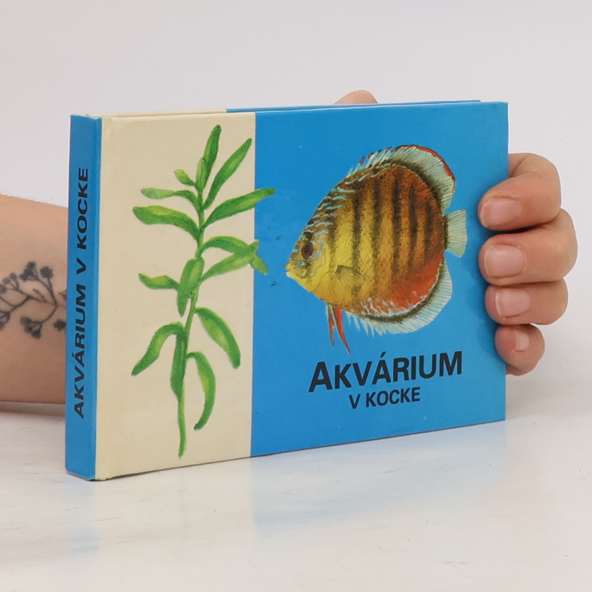 Ladislav Andódi Akvárium v kocke