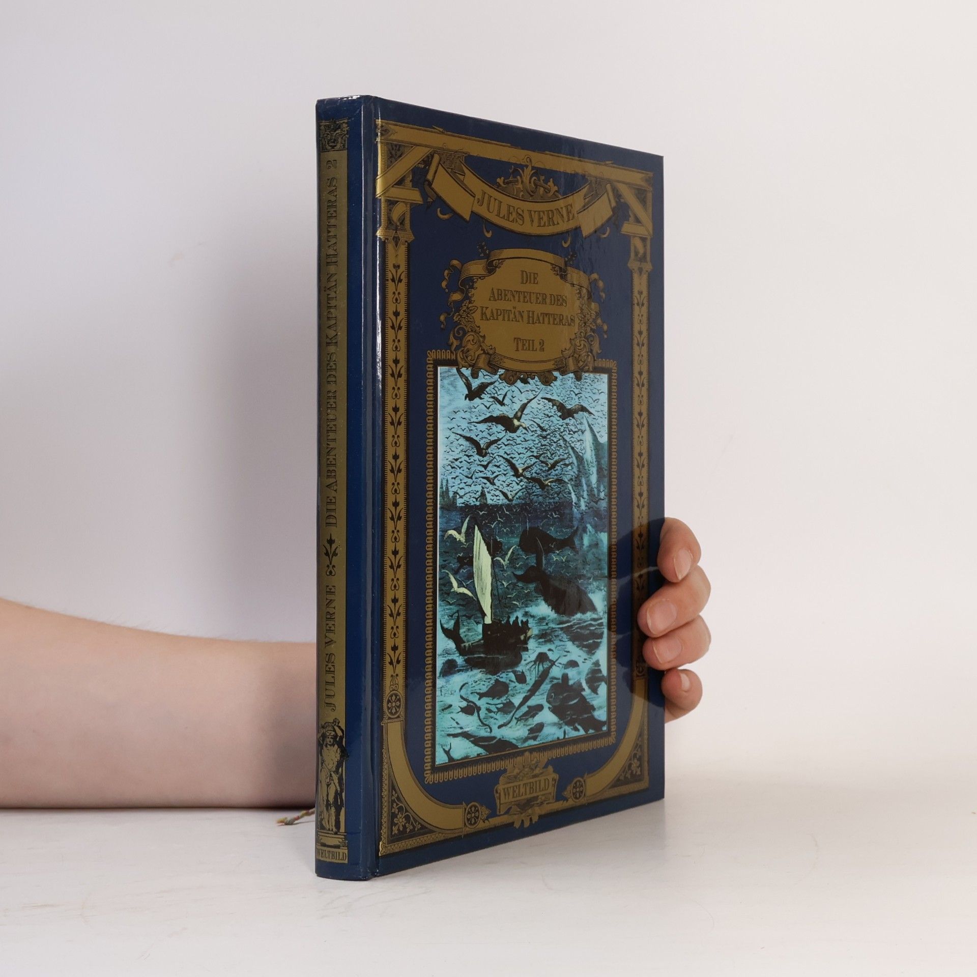 Jules Verne Die Abenteuer des Kapitän Hatteras 2