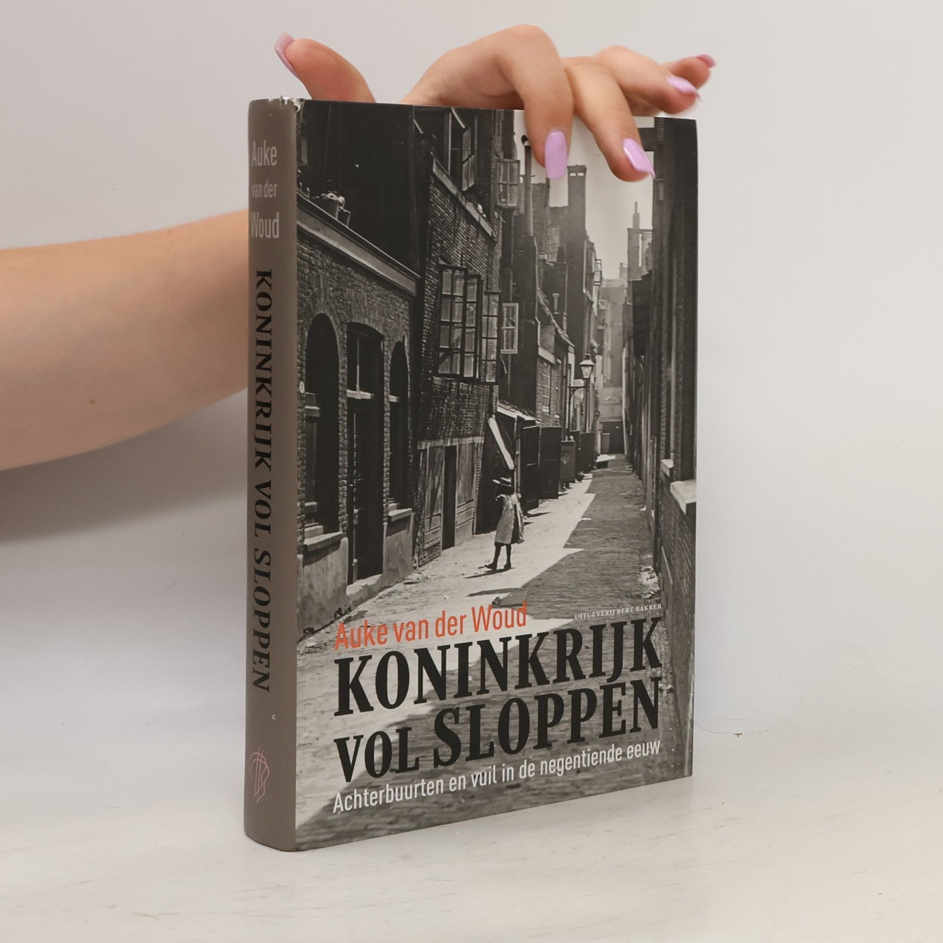 Koninkrijk vol sloppen