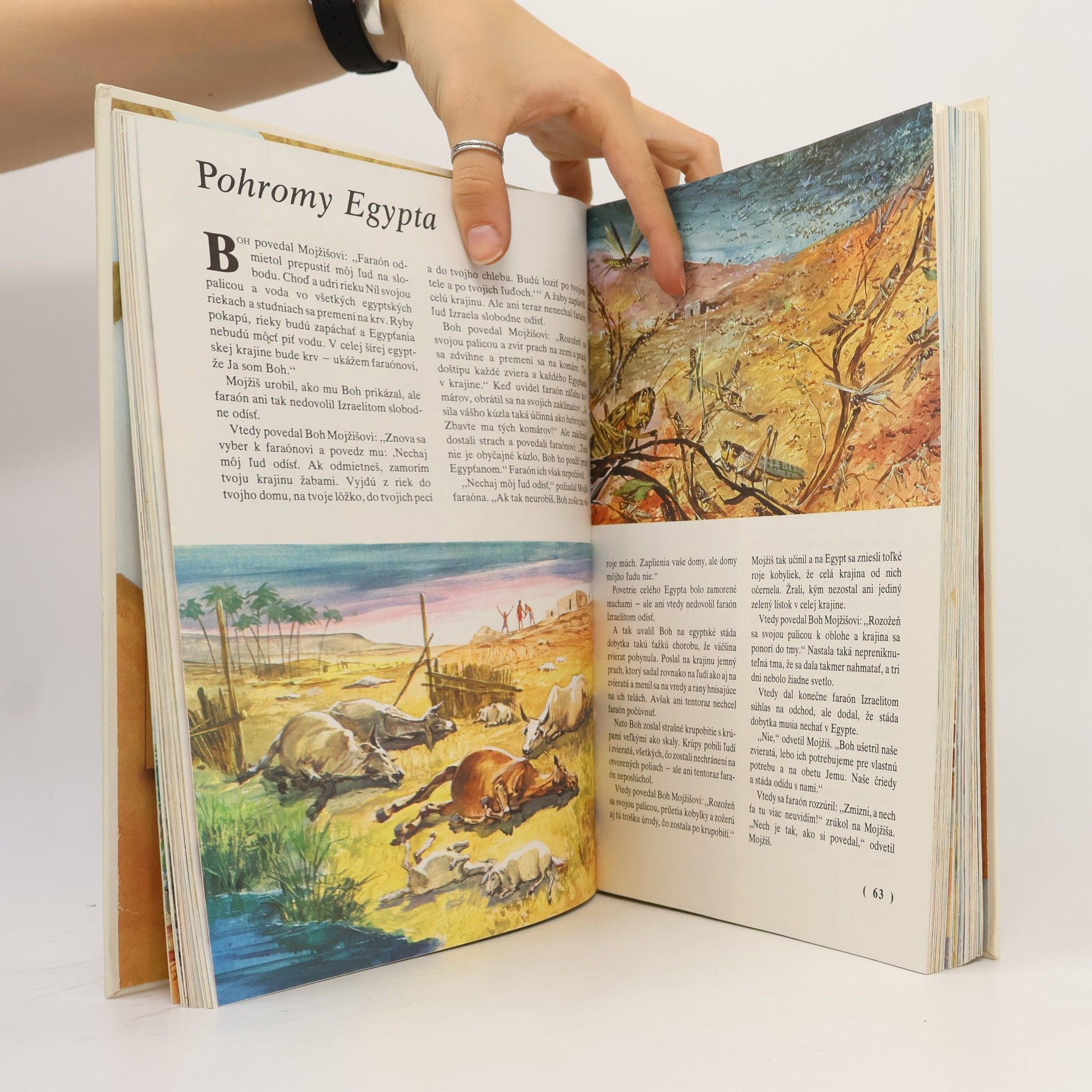 Bridget Hadaway Biblia pre deti