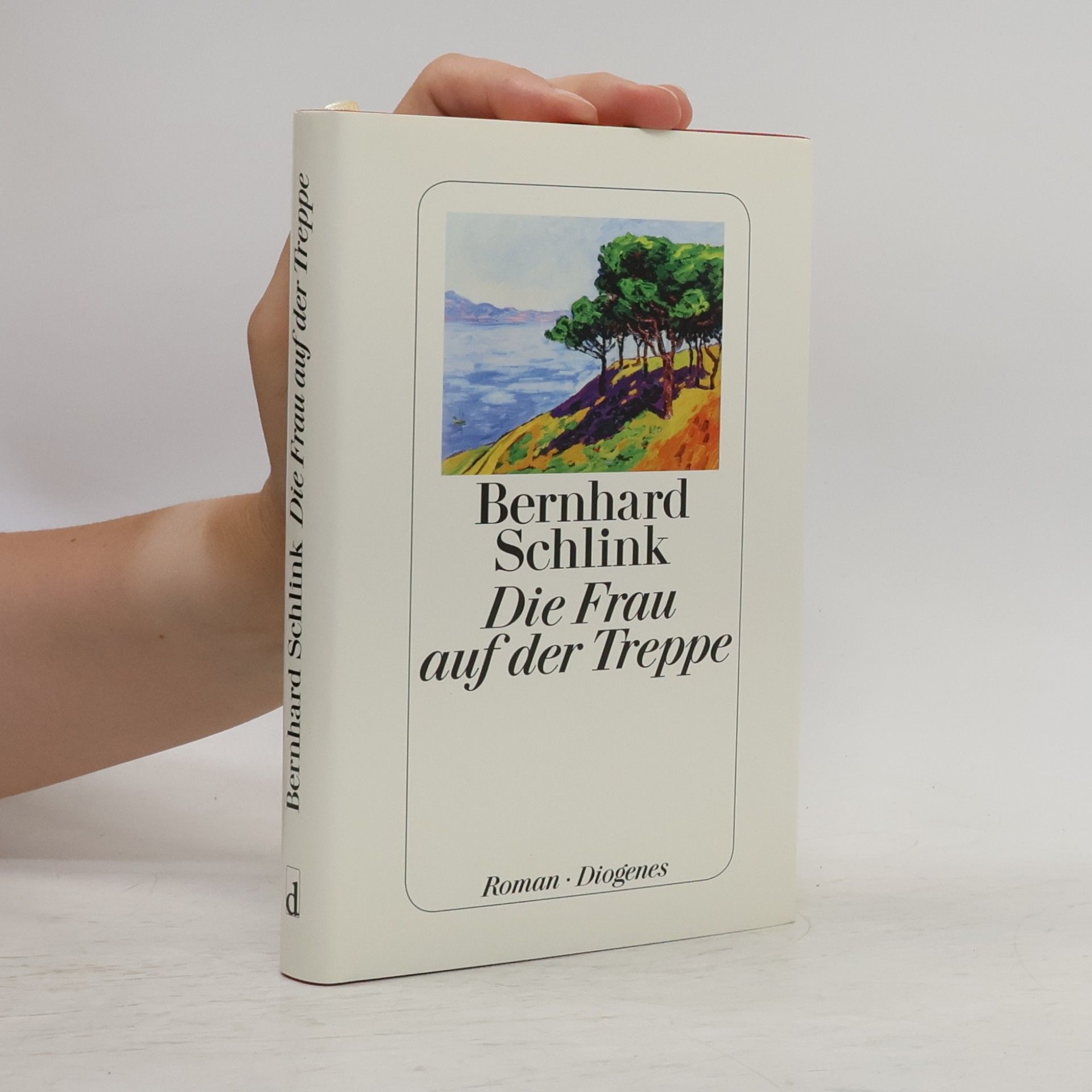 Bernhard Schlink Die Frau auf der Treppe