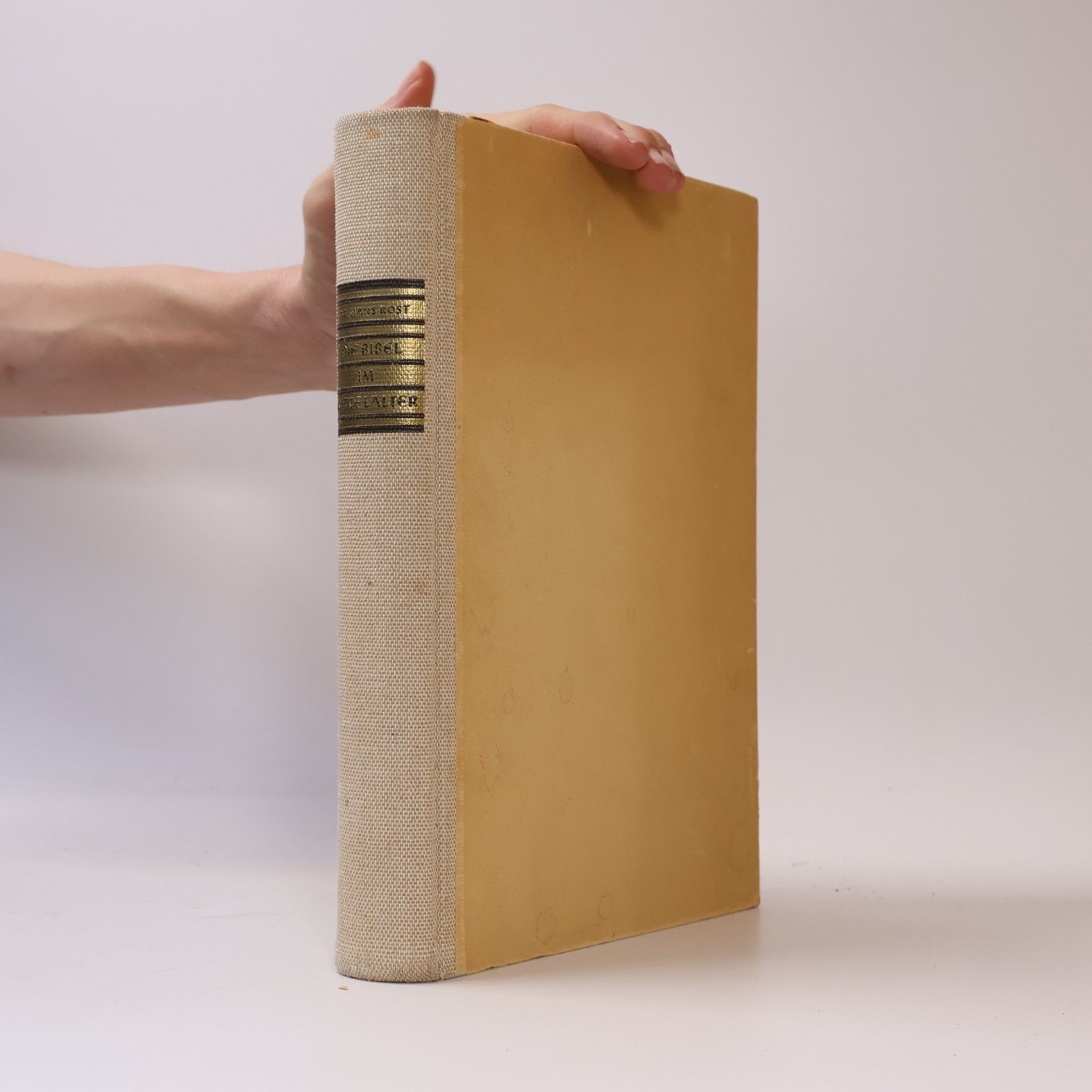 Die Bibel im Mittelalter