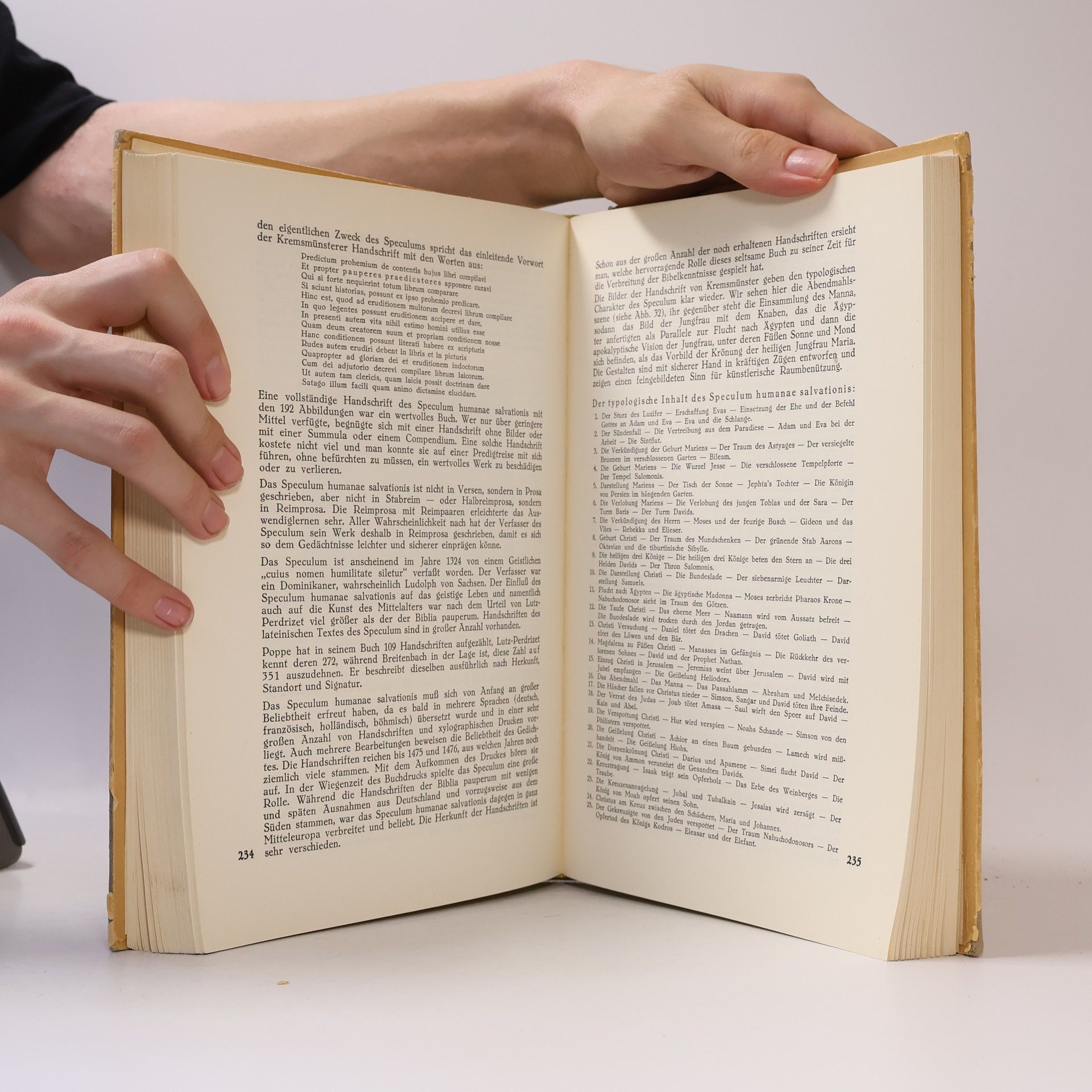 Hans Rost Die Bibel im Mittelalter