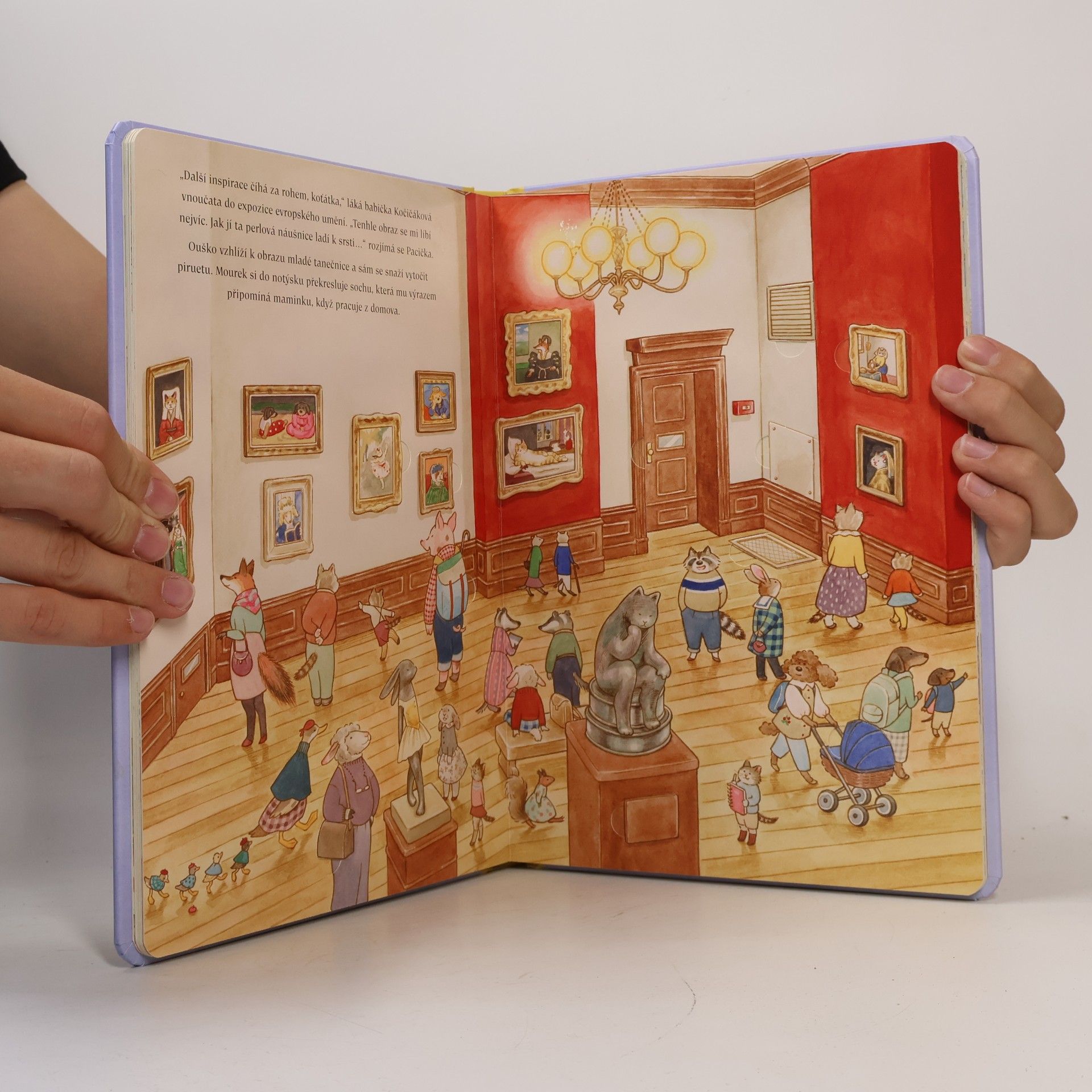 Lucy Brownridge Kočičákovi jdou do muzea