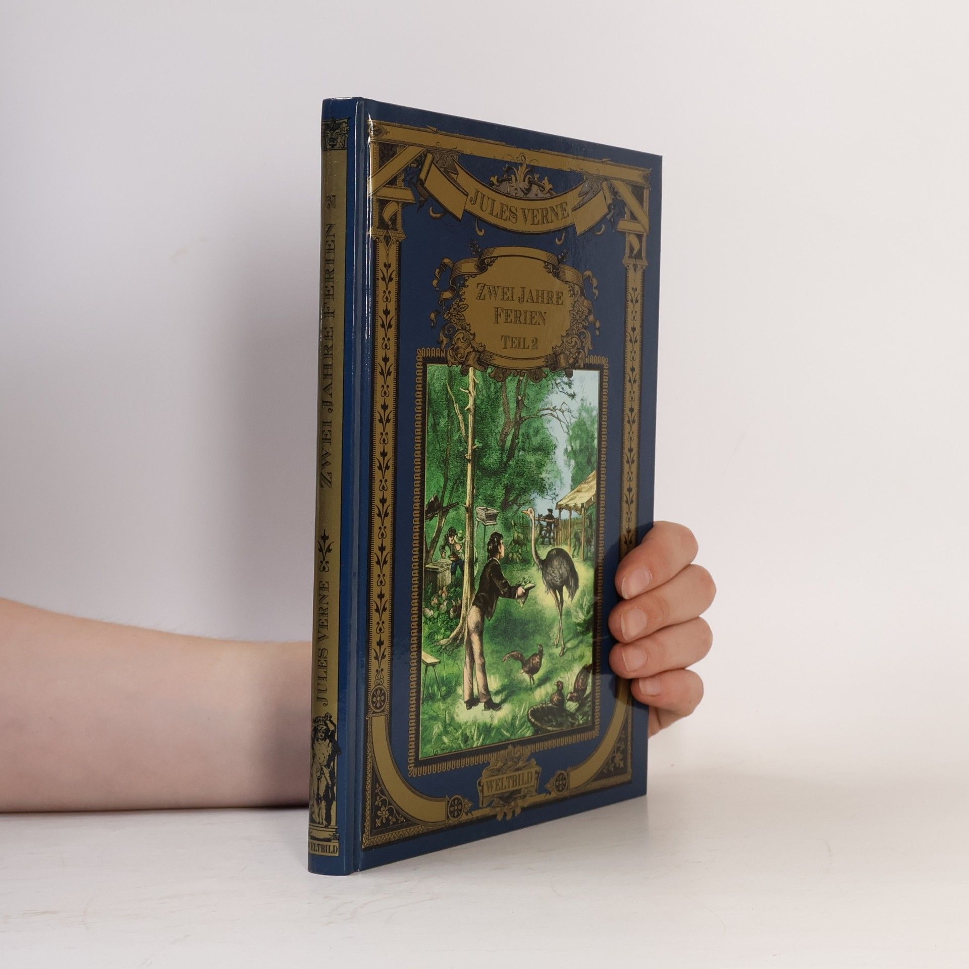 Jules Verne Zwei Jahre Ferien 2
