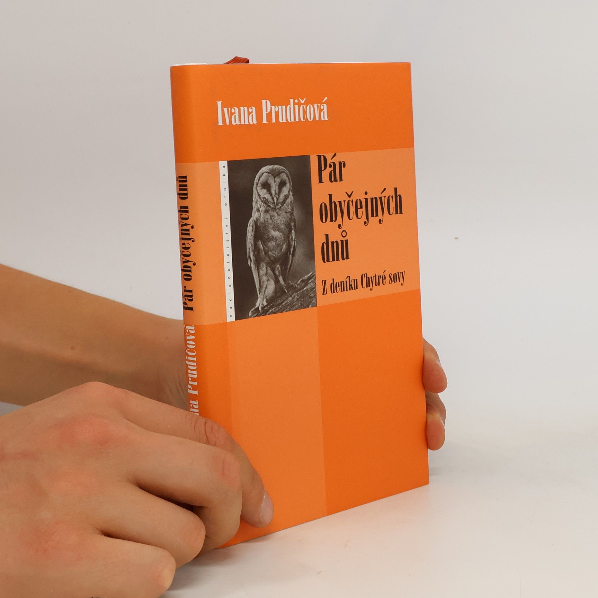 Ivana Prudičová Pár obyčejných dnů. Z deníku Chytré sovy.