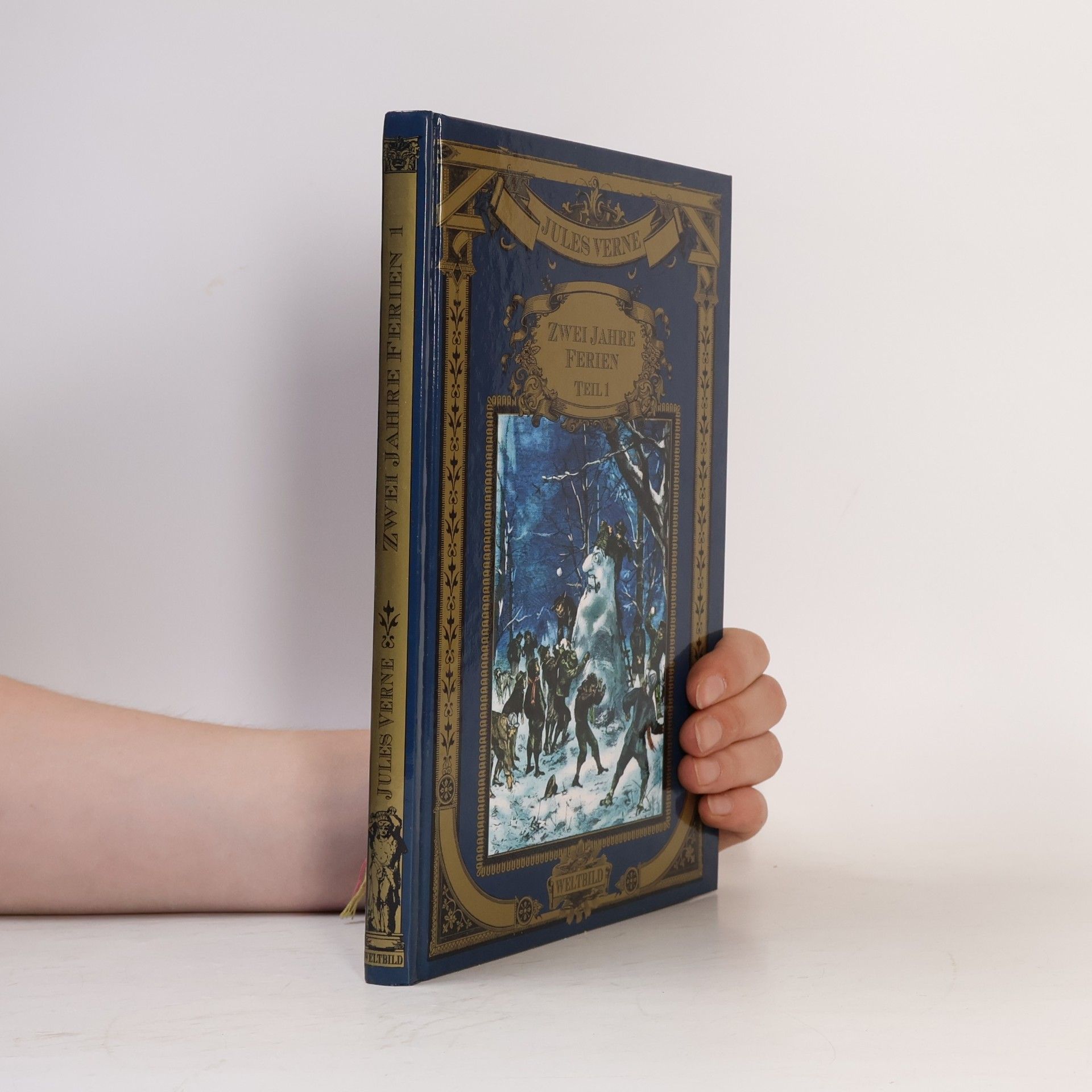 Jules Verne Zwei Jahre Ferien, Teil 1