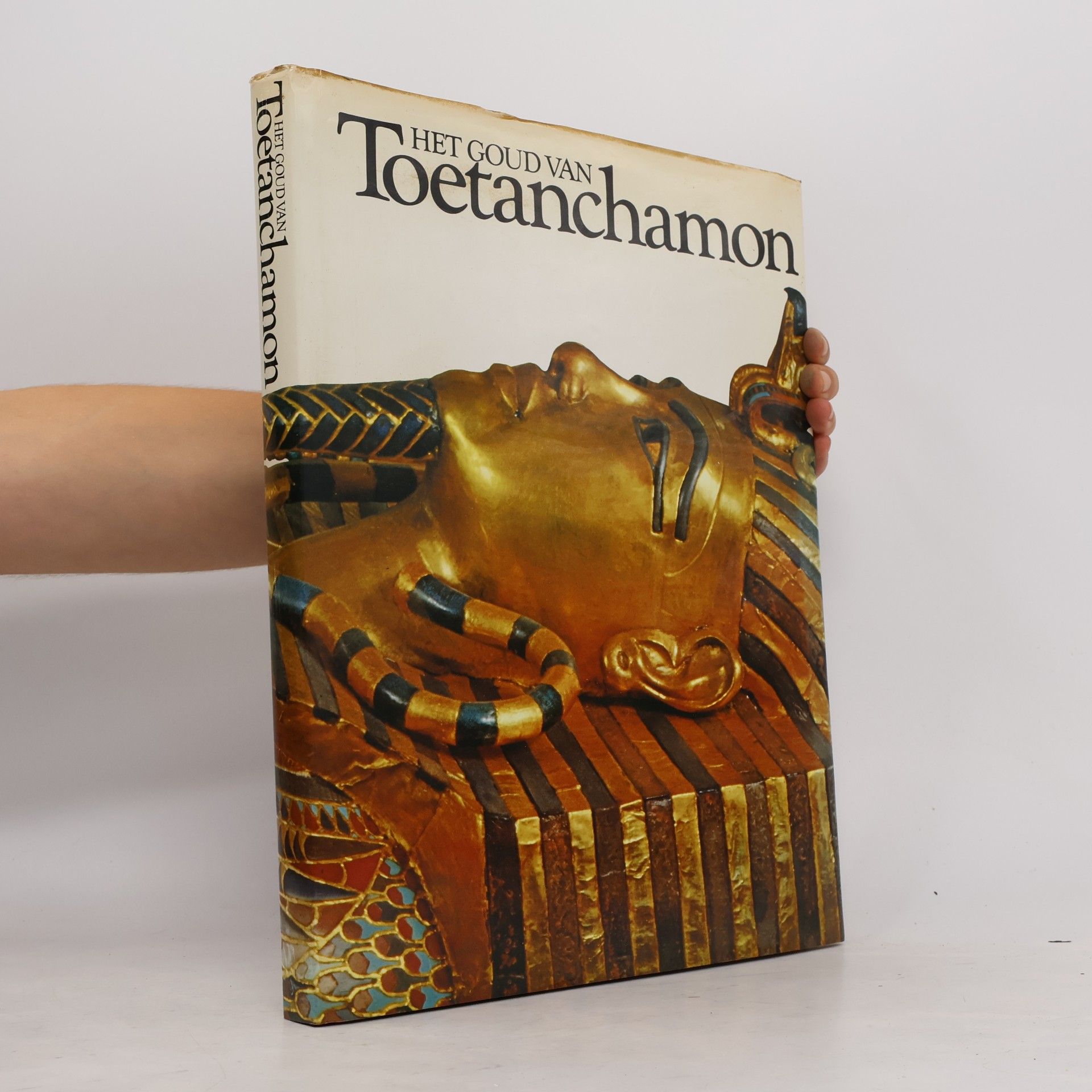 Luc Jalvingh Het goud van Toetanchamon